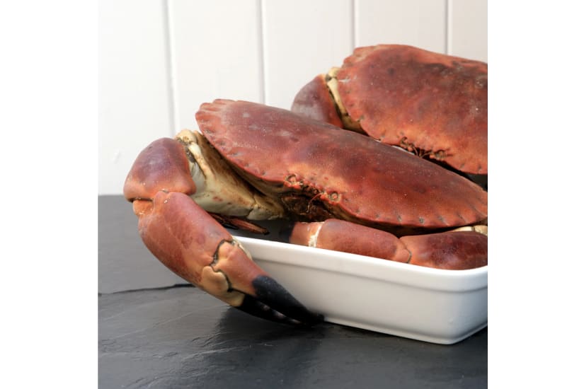 Whole Cooked Male Crab 1.5kg -1.8kg