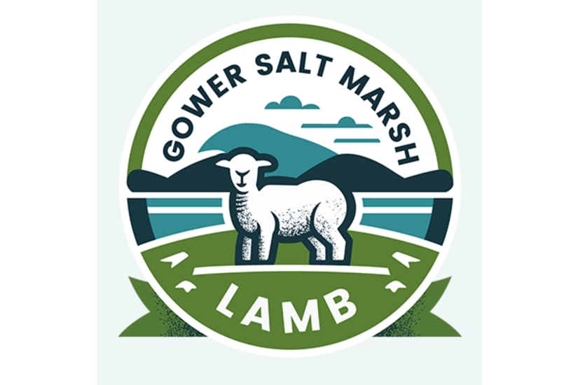 Gower Salt Marsh Mutton Mince