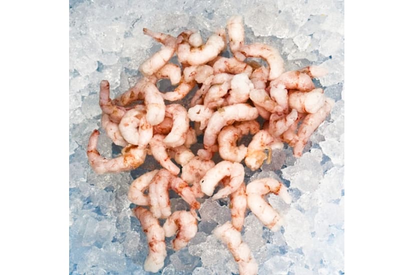 North Atlantic Royal Greenland Prawns