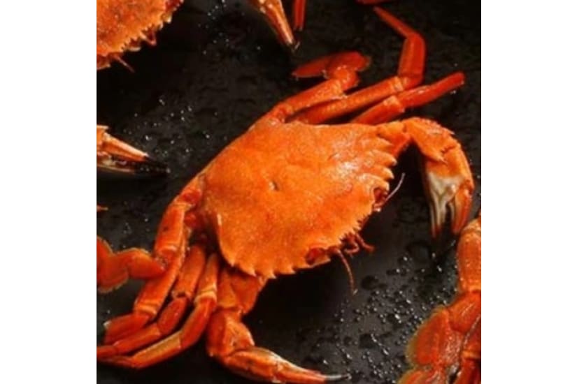 Cooked Velvet Crab