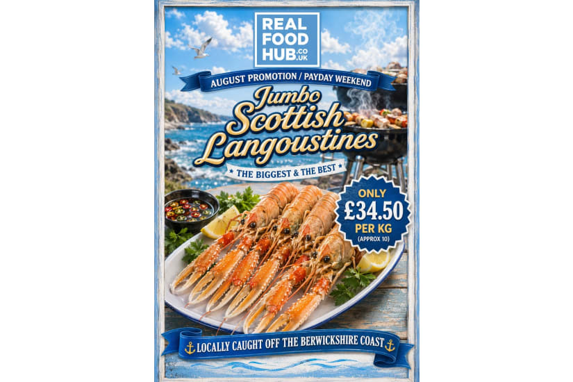 Jumbo Langoustines (Cooked) - Summer Promotion - 20% OFF