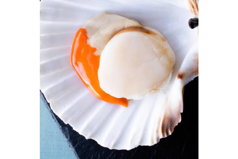 Wild Scottish Premium King Scallops