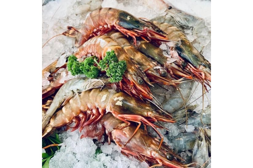 Wild Whole King Prawns
