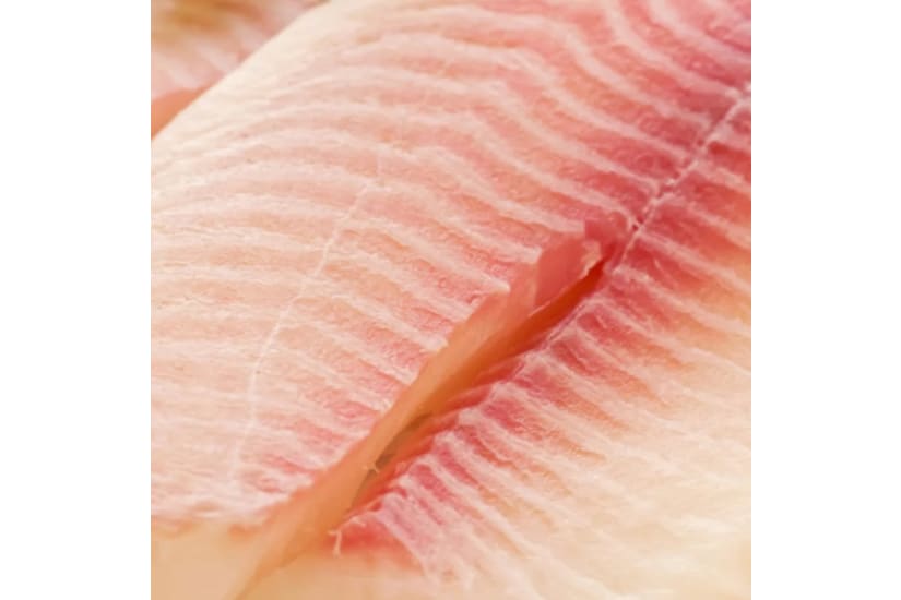 Tilapia Fillets 