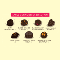 Connoisseur Selection Large Chocolate Box