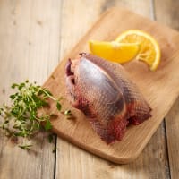 Whole Wild Pigeon
