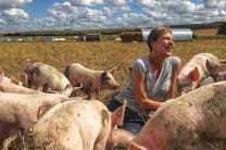 Helen Browning's Organics