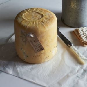 Where to buy cheese-making equipment in the UK - The Courtyard Dairy