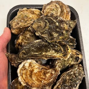 Box of 10 Fresh Oysters