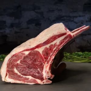 Belted Galloway 4 Bone Fore Rib French trimmed