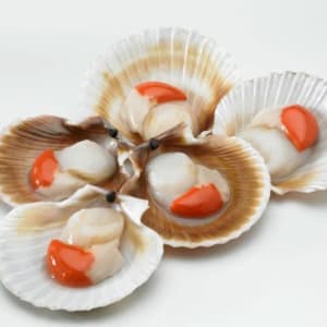 IQF Queen Scallops 
