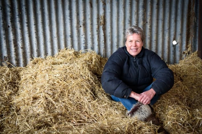 Helen Browning's Organics