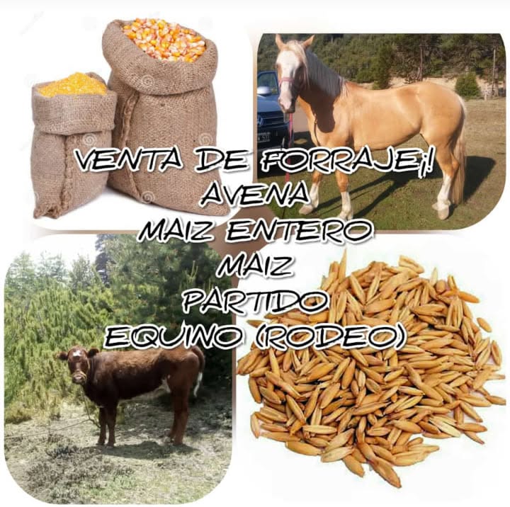 Alimentos