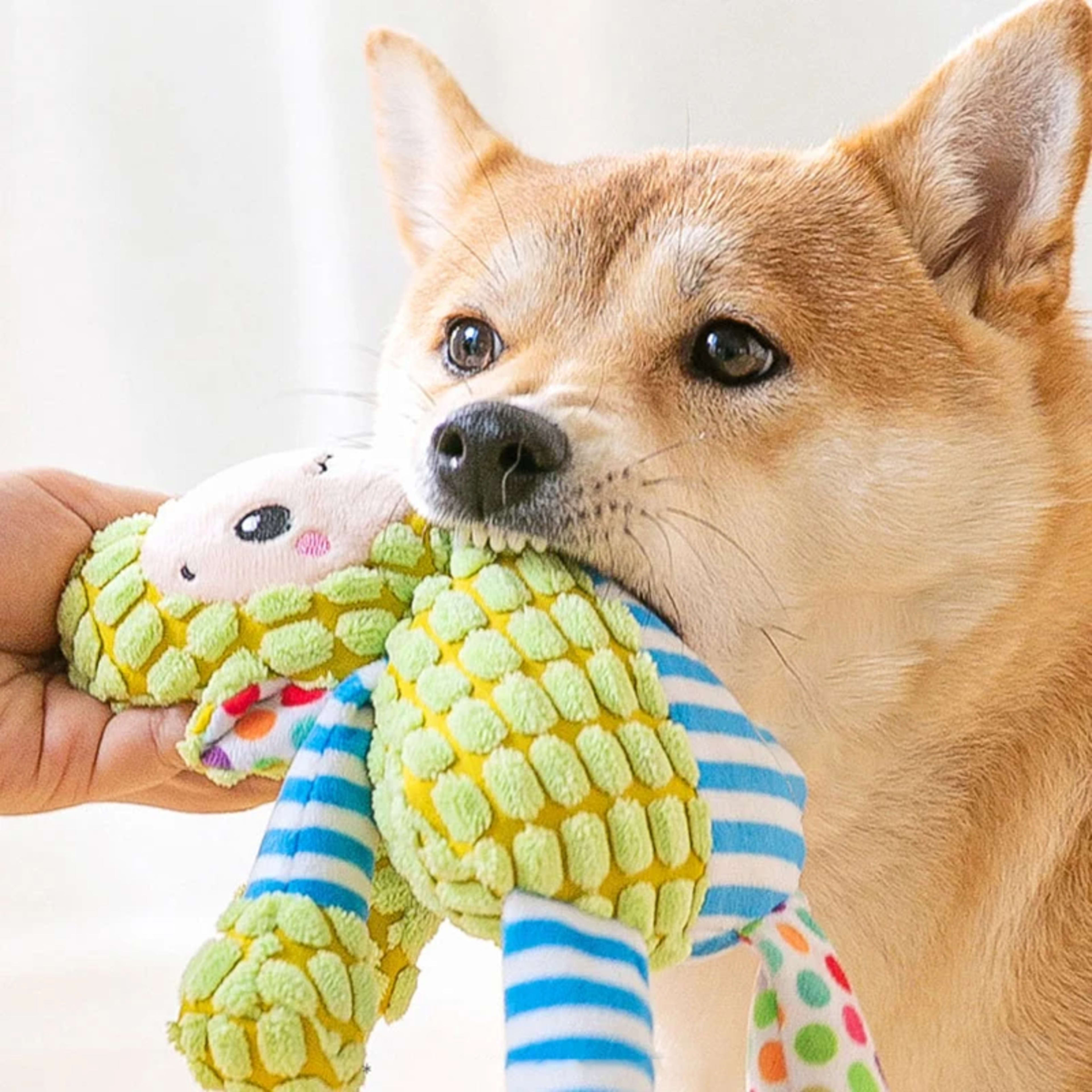 Pet Plush Toy Cat Dog Puzzle Toy Cute Animals Bite Resistant Interactive Squeaky Pet Dog Teeth Cleaning Chew Toy Pet Sup 3