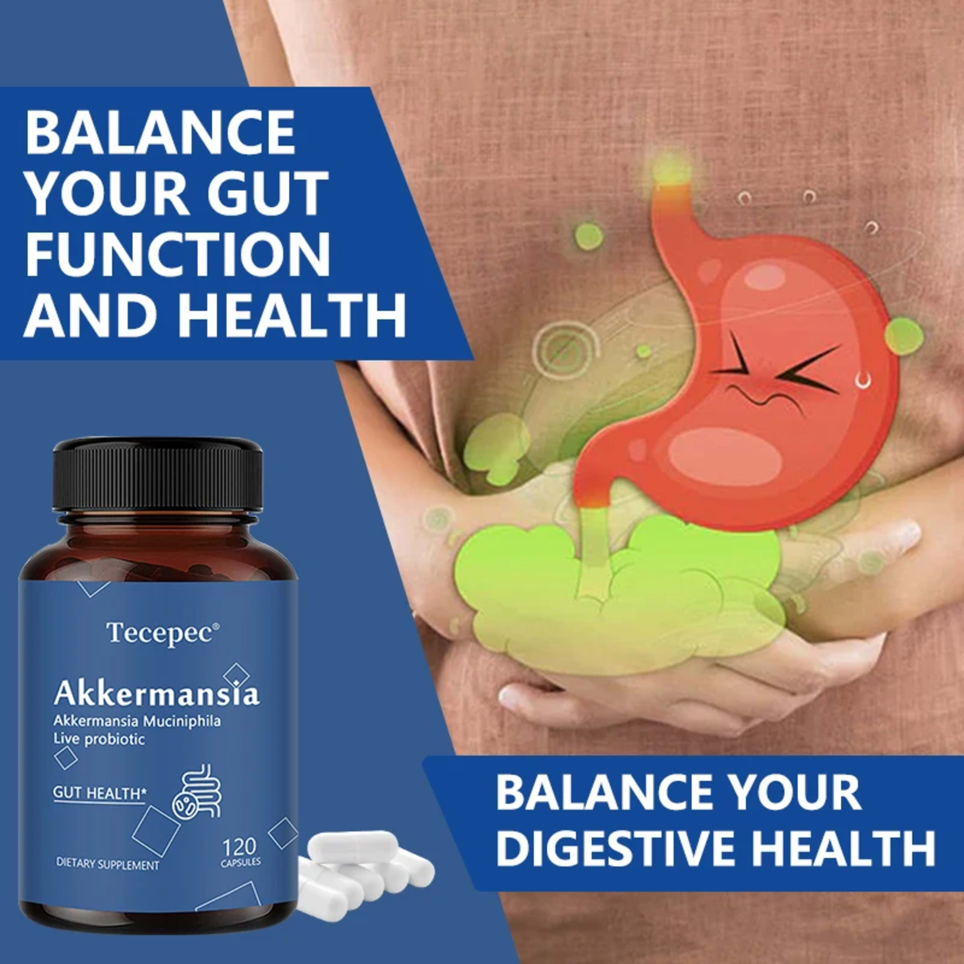 Akkermansia Probiotic, Gut Health Support Supplement | Contains Akkermansia Muciniphila – Enhances Nutrient Absorption 6