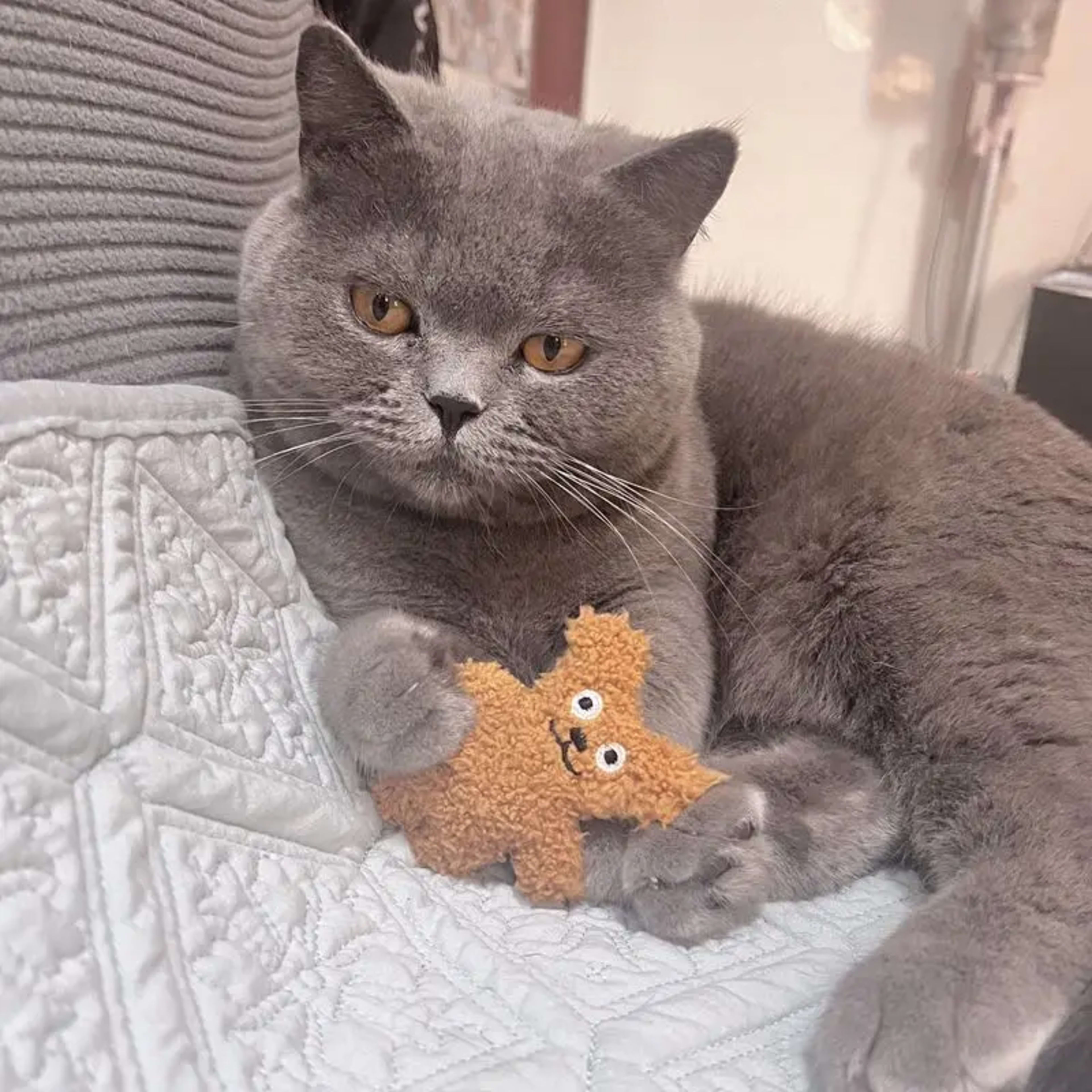 Pet Cat Mint Doll Plush Dog Toy Teddy Toy Pomerian Dog Accessories Dog Toys for Small Dogs Puppy Toys 4