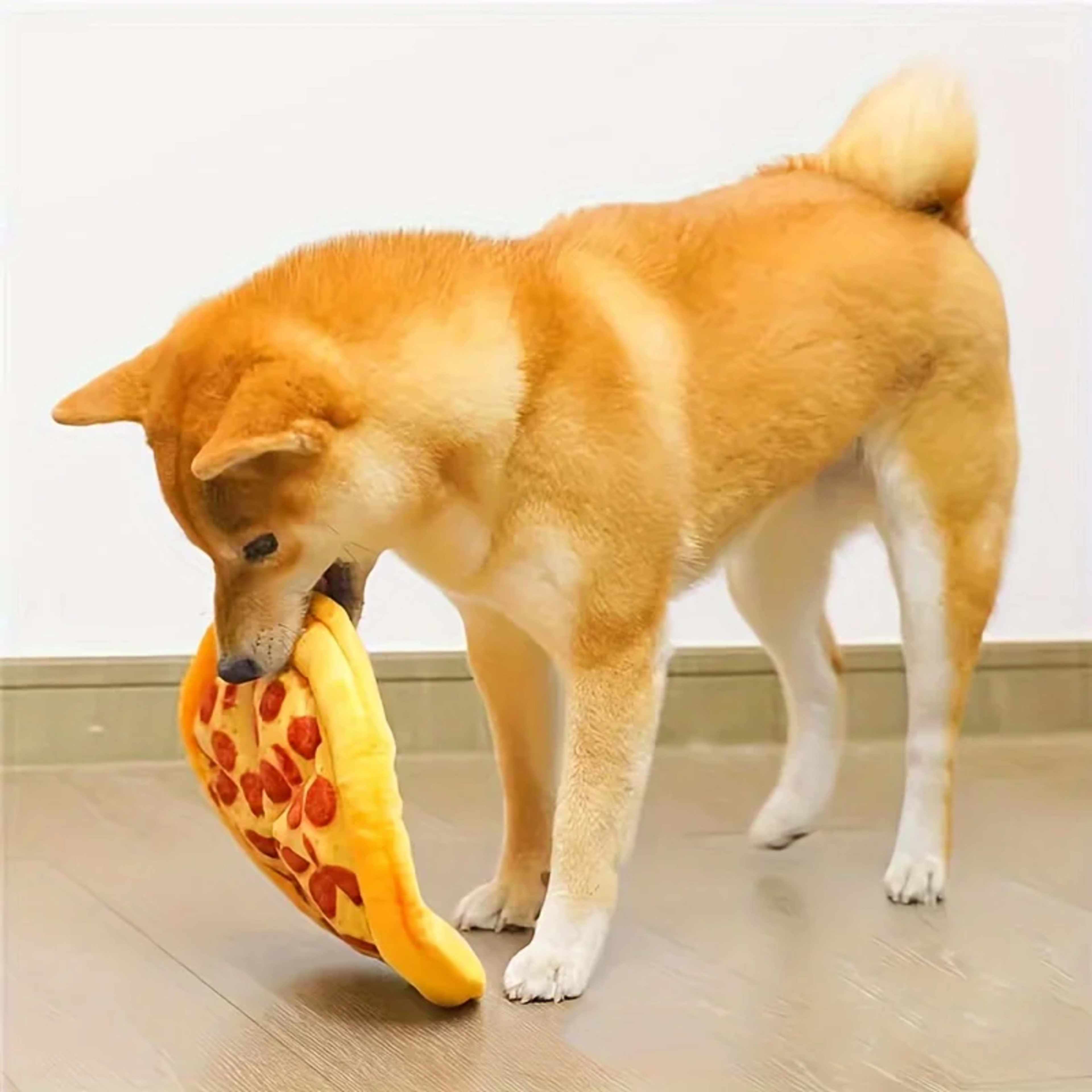 Dog Toys Pet Grinding Teeth Squeaky Plush Toy Interactive Chewing Toy For Dogs Puppies 5