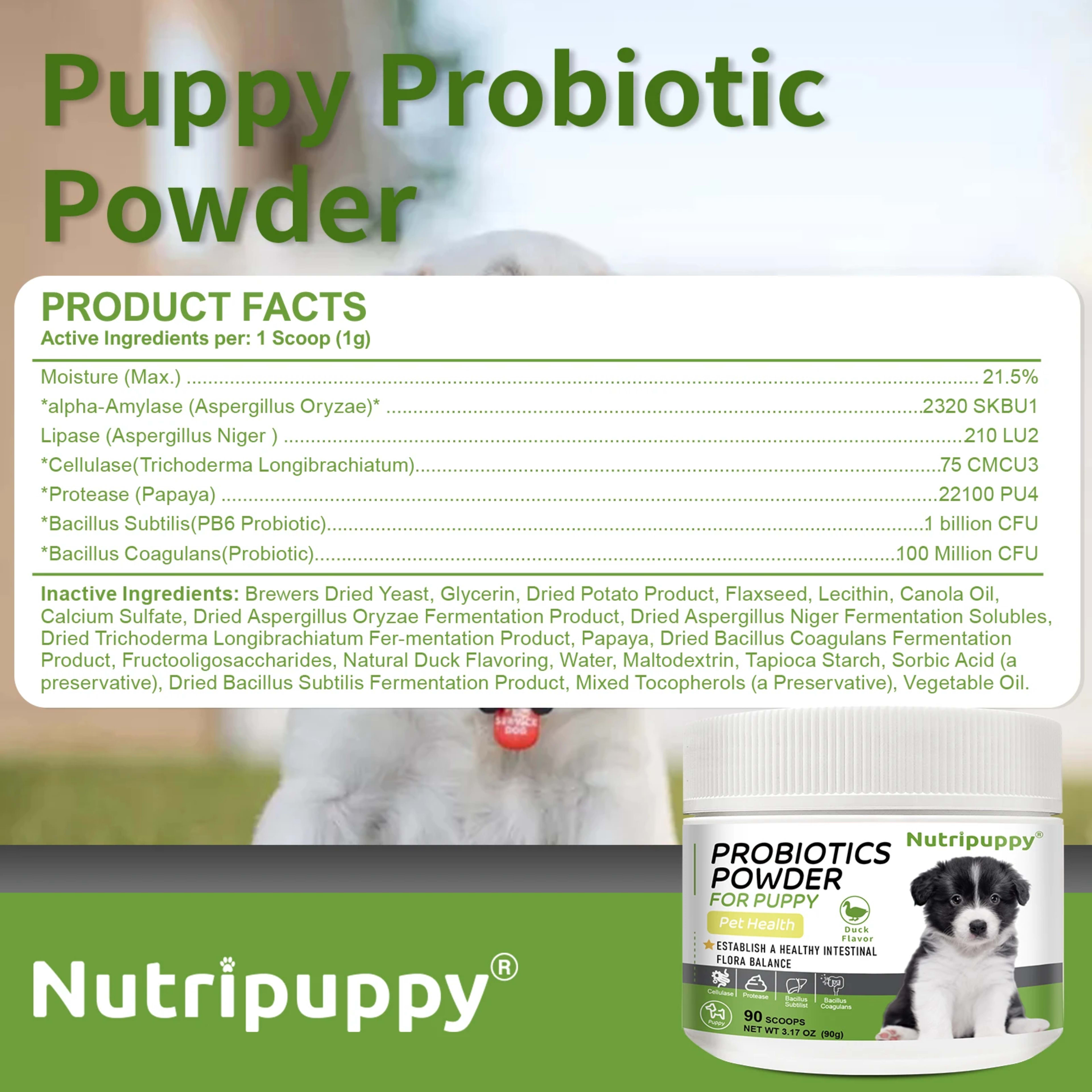 Dog Probiotic Powder Supplement - Supports Digestive Health&Relieves Diarrhea,Boosts Immune System for Puppy Adult Senio 6