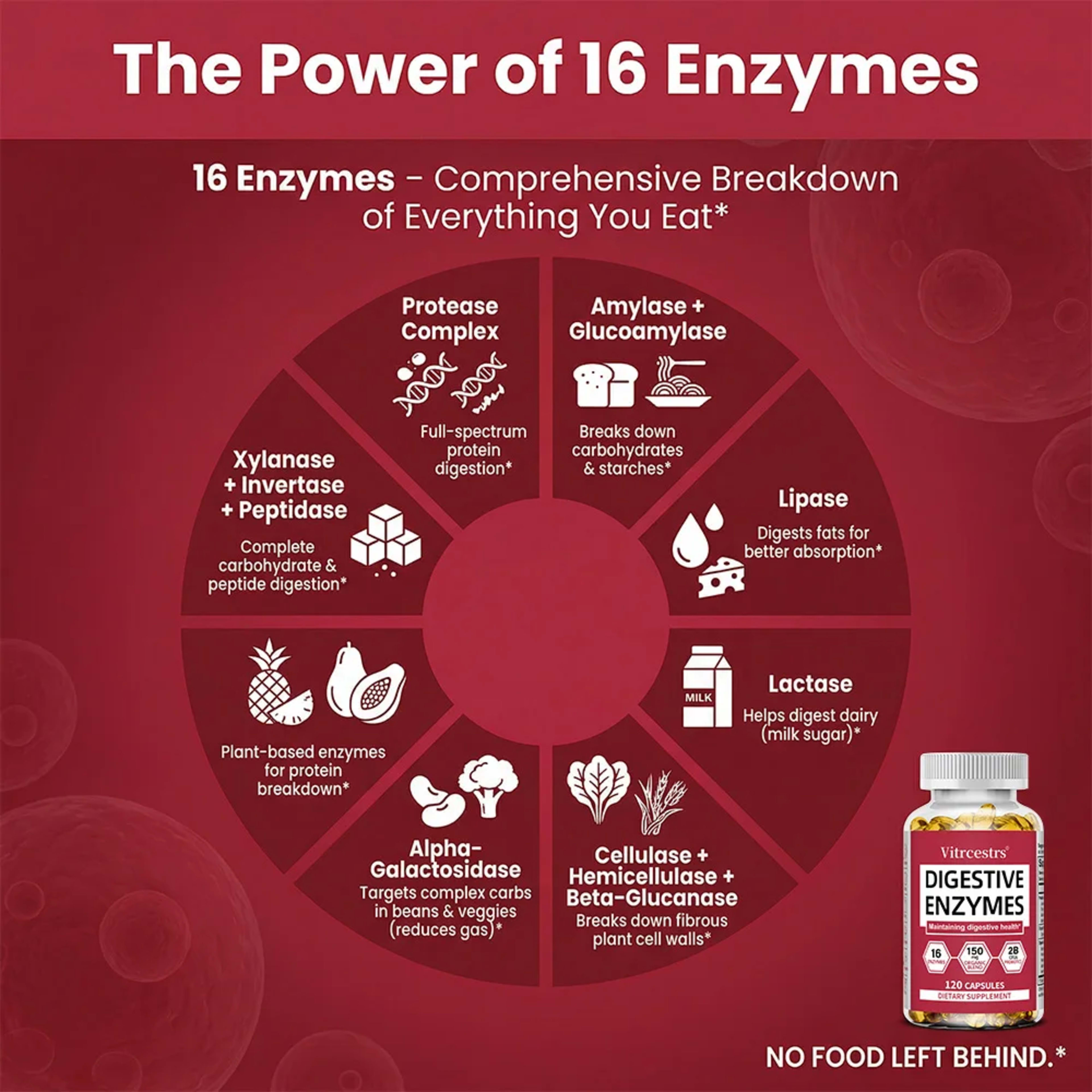 Digestive Enzymes Supplement - Digestion and Intestinal Health for Adults Men and Women, Promotes Nutrient Absorption 3