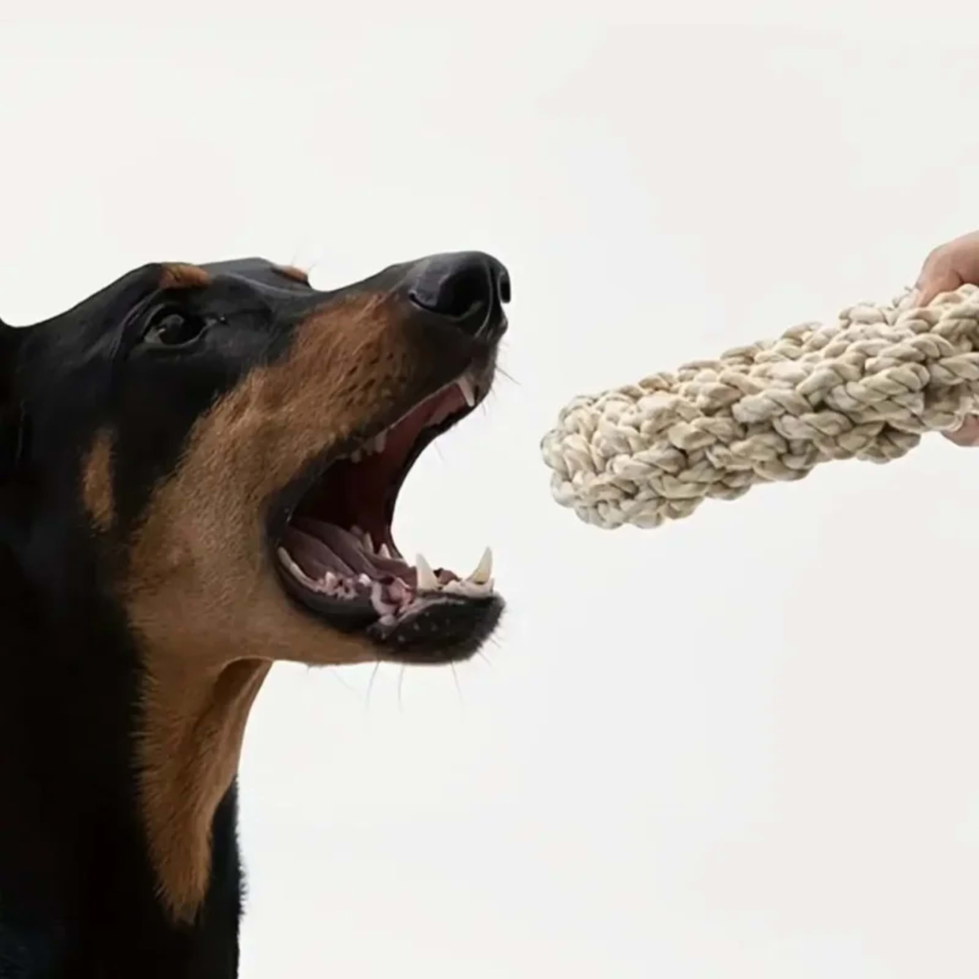 Pet Dog Rope Toy Durable Chew Bite Resistant Drag Pet toys for Medium Large Dogs Golden Retriever Pitbull Labrador Suppl 1