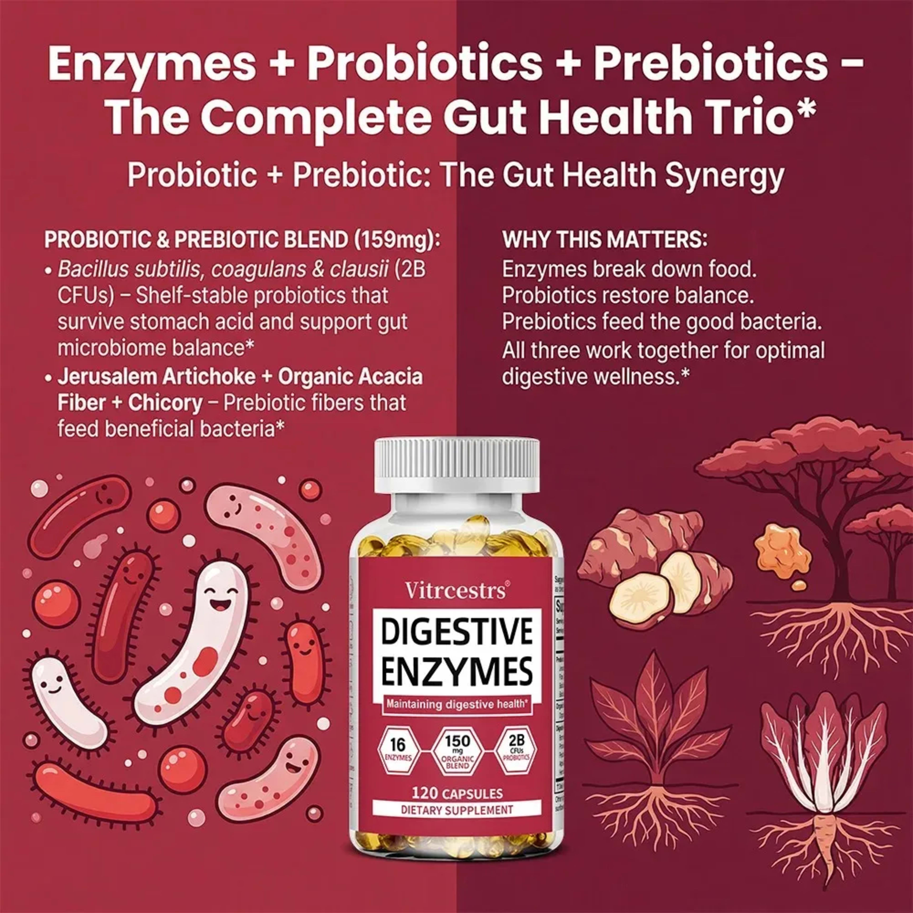Digestive Enzyme Supplement Capsules – Promote Digestive Health, Support Gut Health, Suitable for Both Men and Women 3