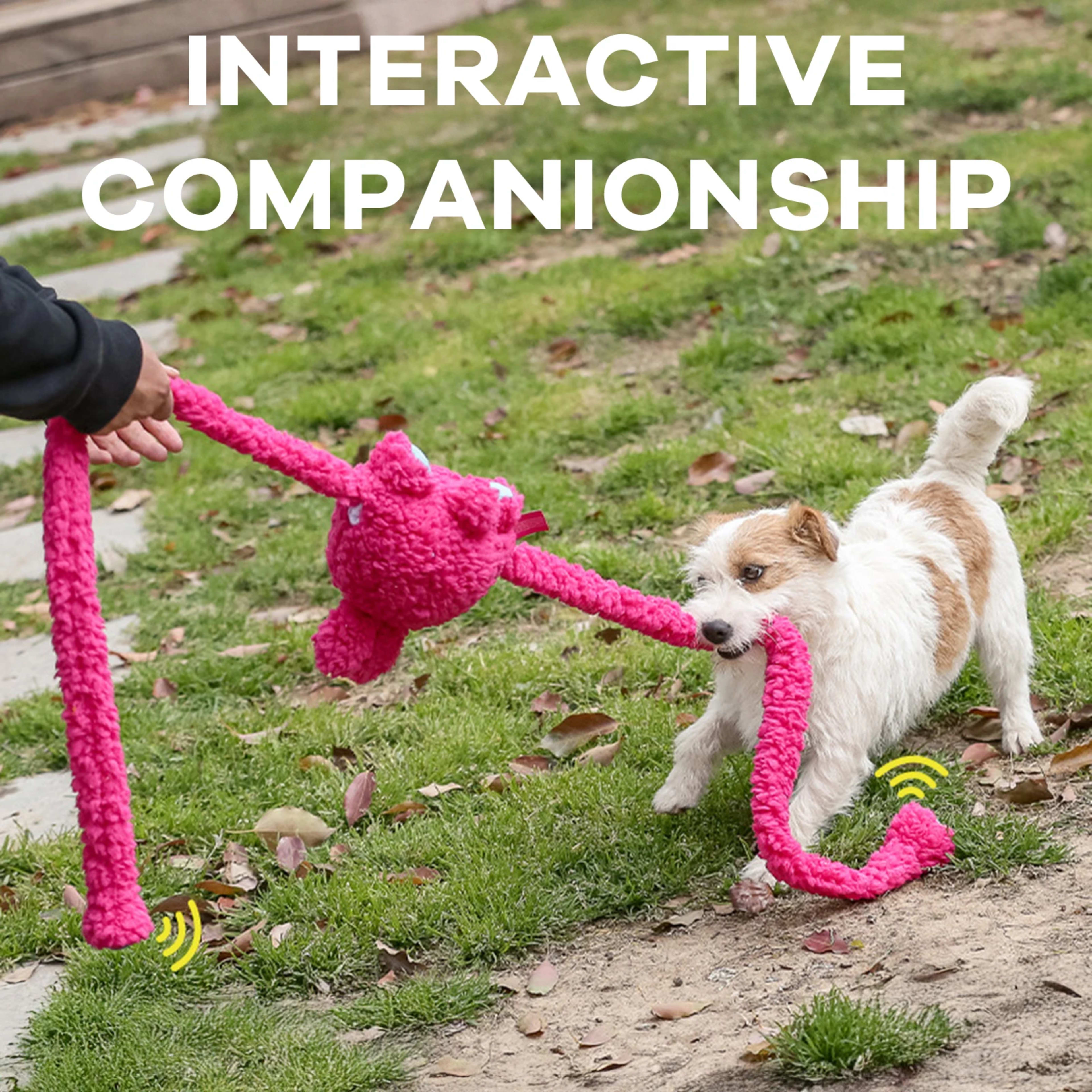 Pet Dog Chew Toys Squeaky Plush Sounding Toy Dogs Funny Sounding Interactive Pull Plush Dogs Toys For Training And Enter 2