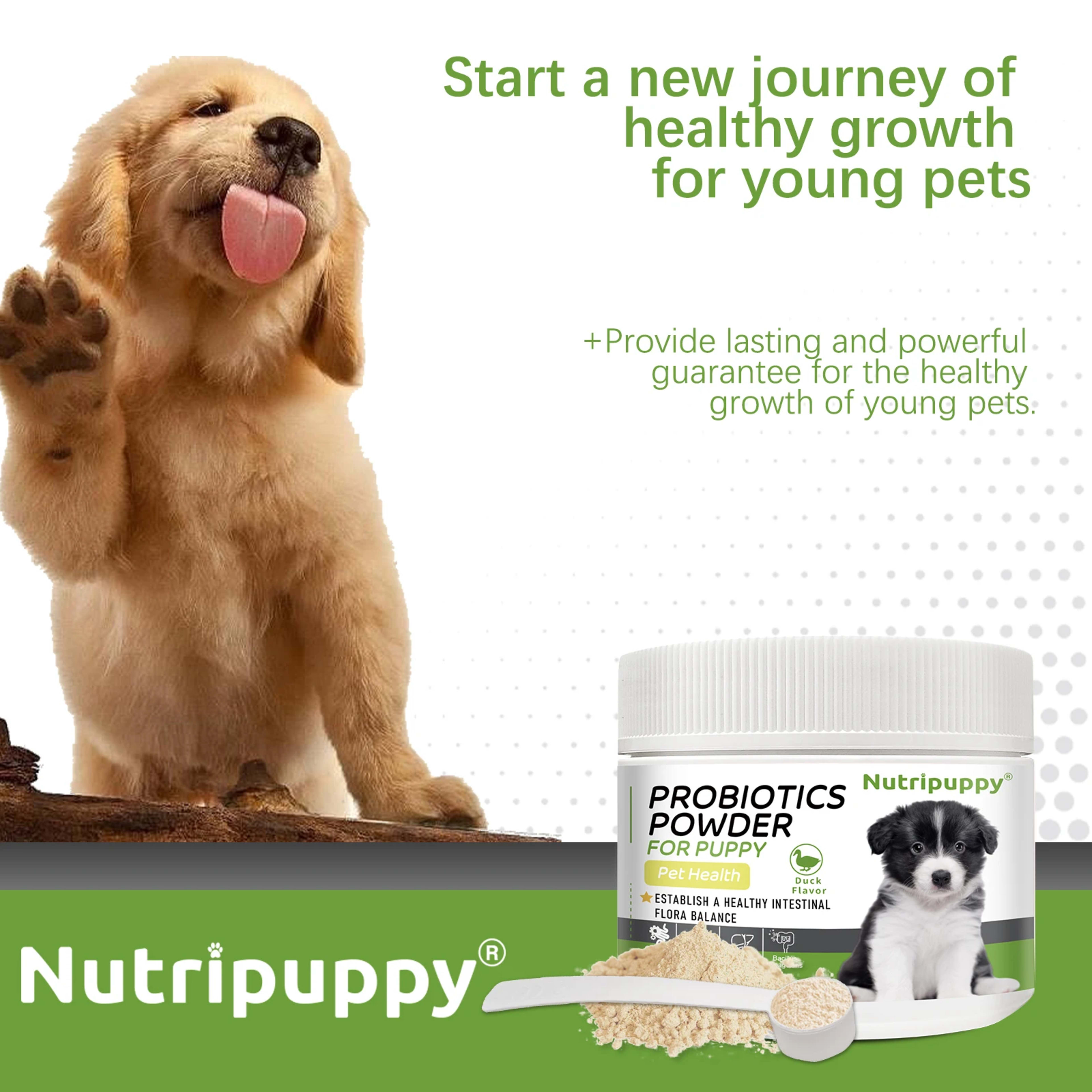 Dog Probiotic Powder Supplement - Supports Digestive Health&Relieves Diarrhea,Boosts Immune System for Puppy Adult Senio 4