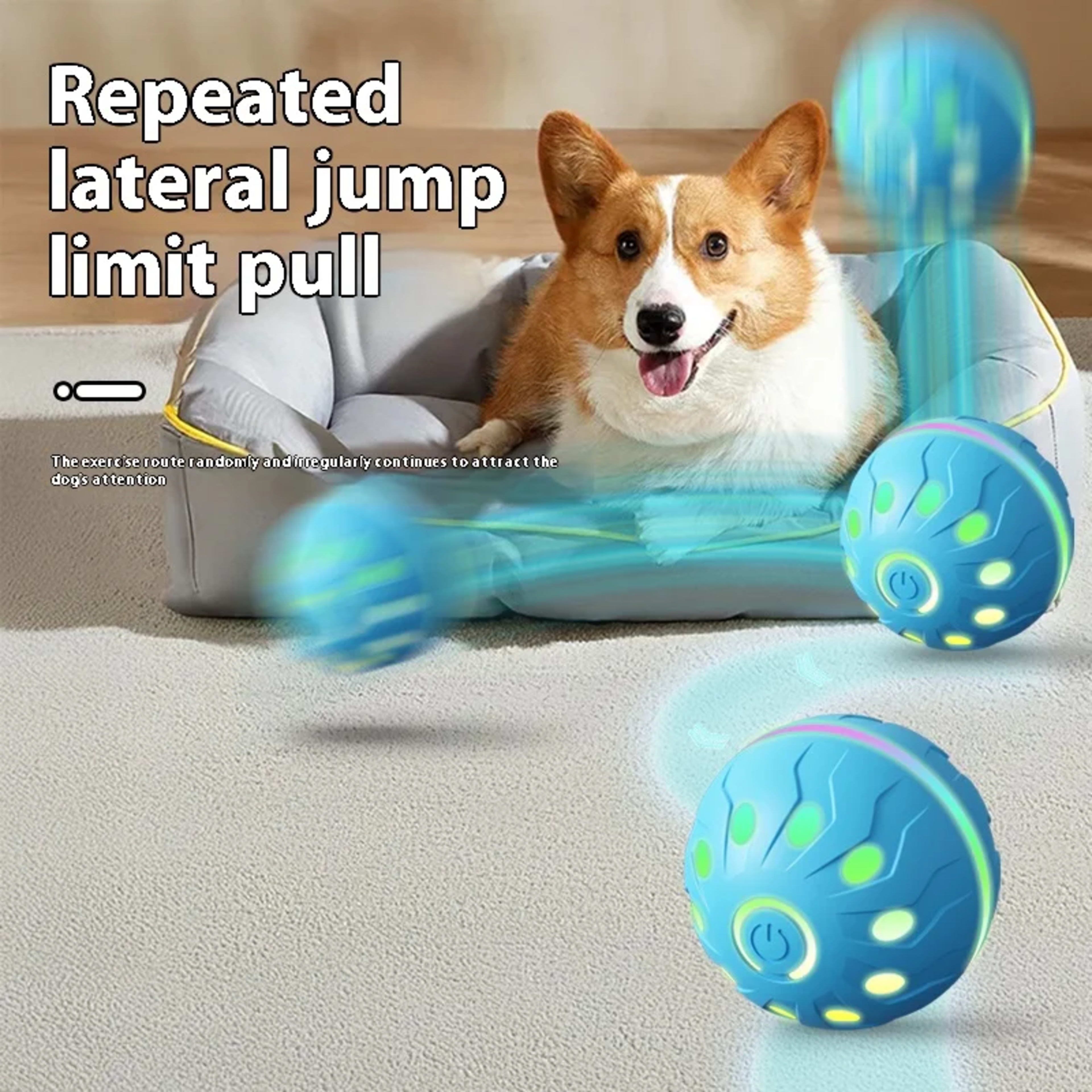 Pet Play Toy Ball, Electric Dog Ball, USB Rechargeable Dog Interactive Toy, Good Companion for Dogs 2
