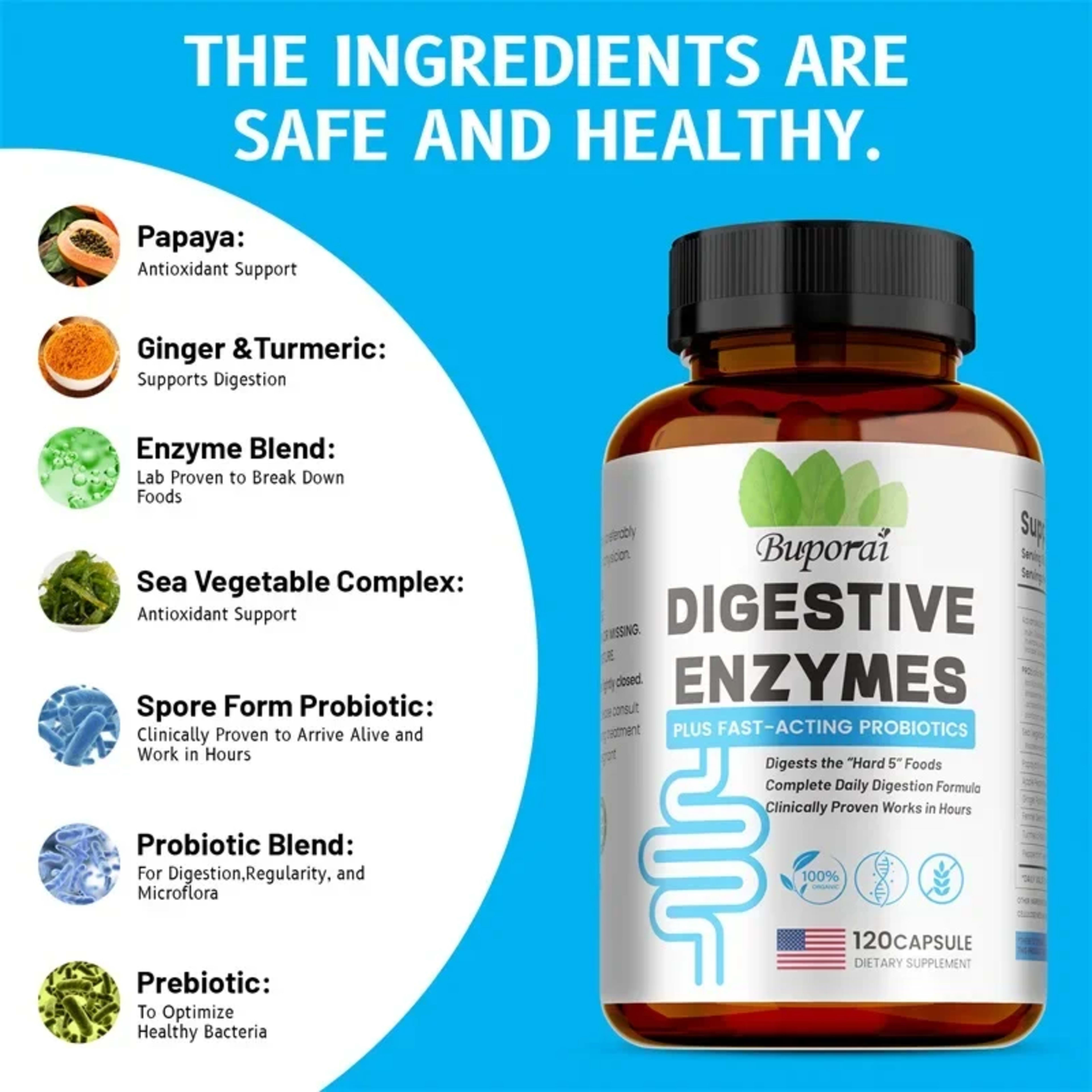 Digestive Enzymes Supplement - Digestion and Intestinal Health for Adults Men and Women, Promotes Nutrient Absorption 3