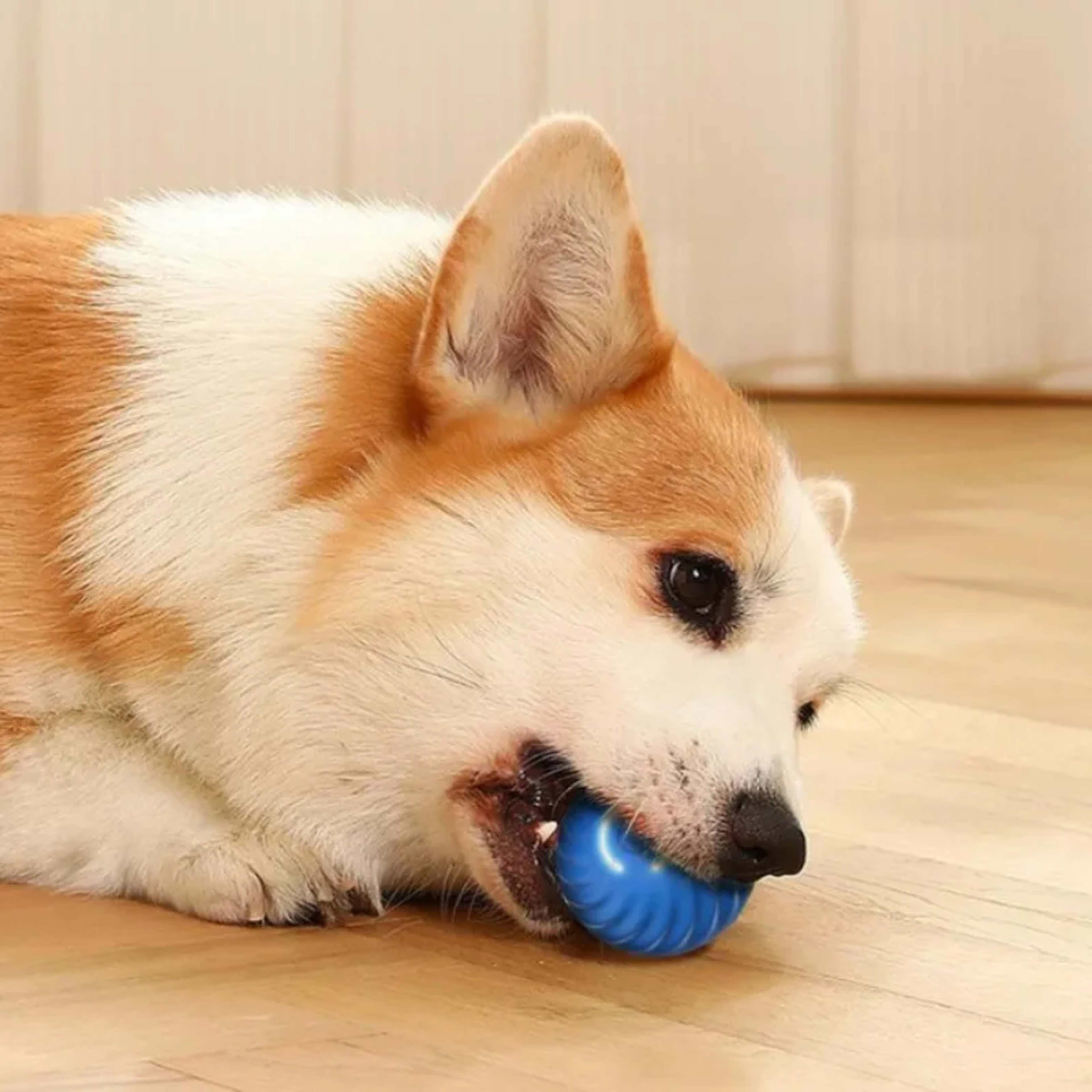 Pet Toy Ball Automatic Moving Dog Toy Ball Smart USB Jumping Rotating Interactive Dog Chew Toy Ball for Puppy Ball Toy 4