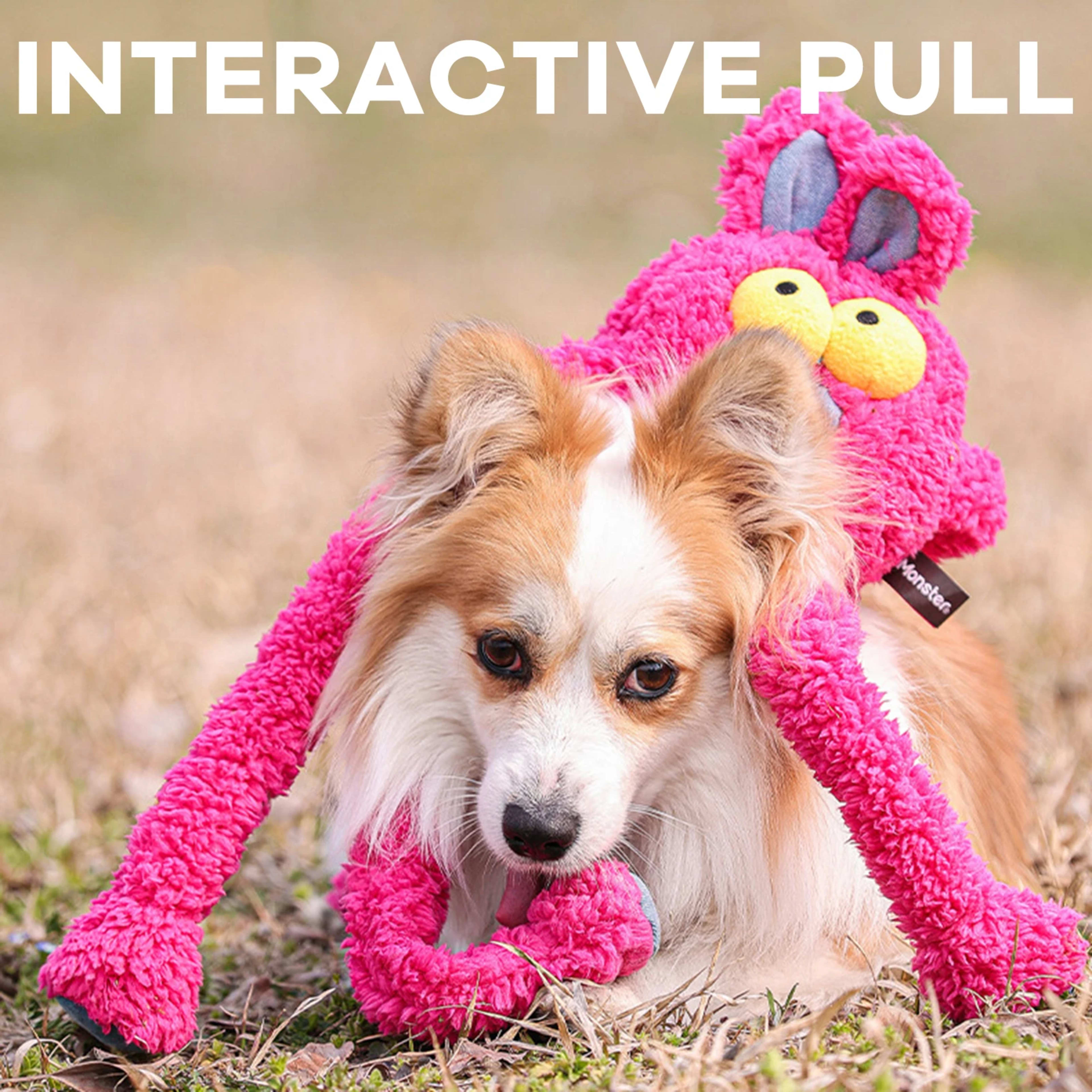 Pet Dog Chew Toys Squeaky Plush Sounding Toy Dogs Funny Sounding Interactive Pull Plush Dogs Toys For Training And Enter 4