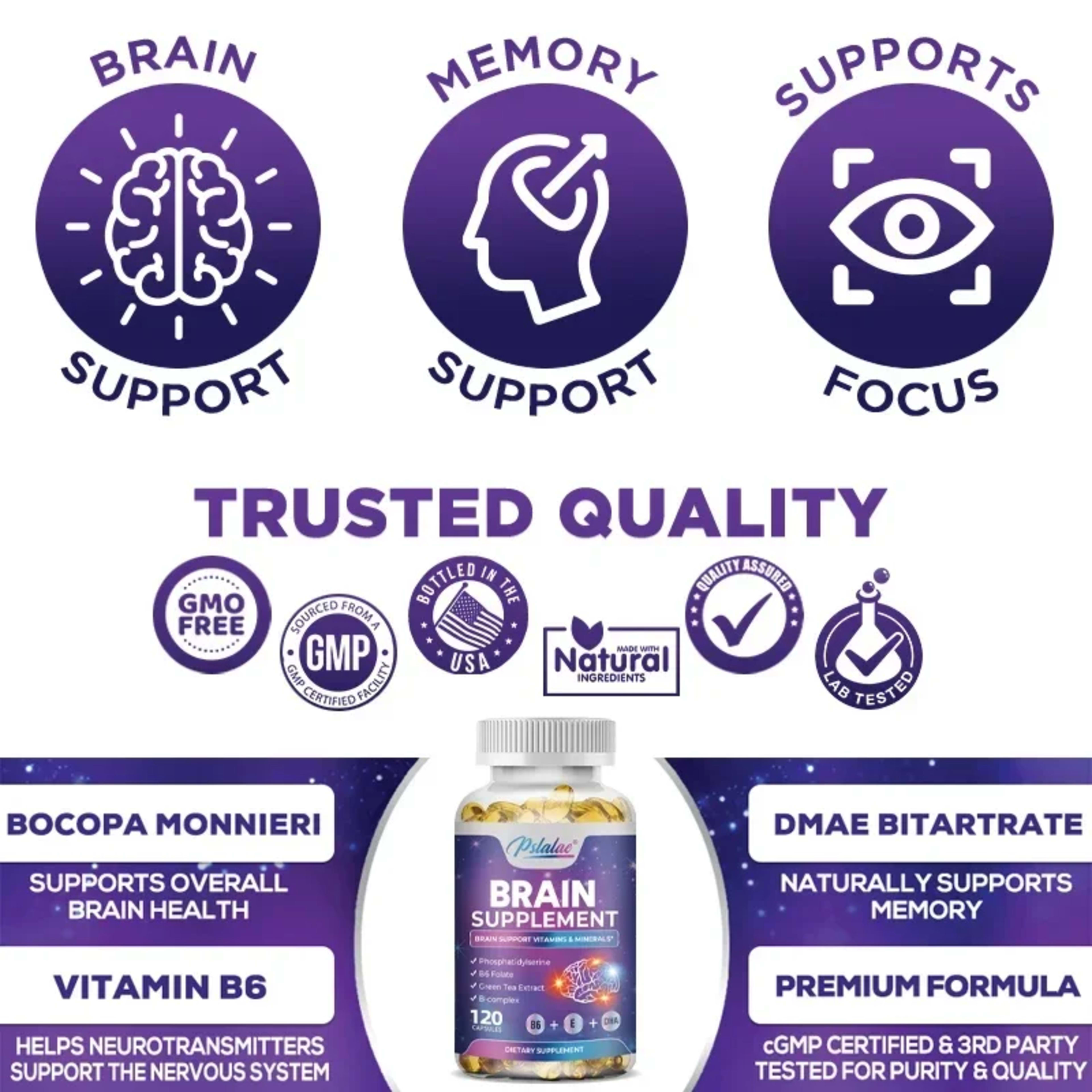 Brain Supplement - Contains B Vitamins To Support Brain Health, Improve Cognitive Function, and Enhance Memory and Conce 6