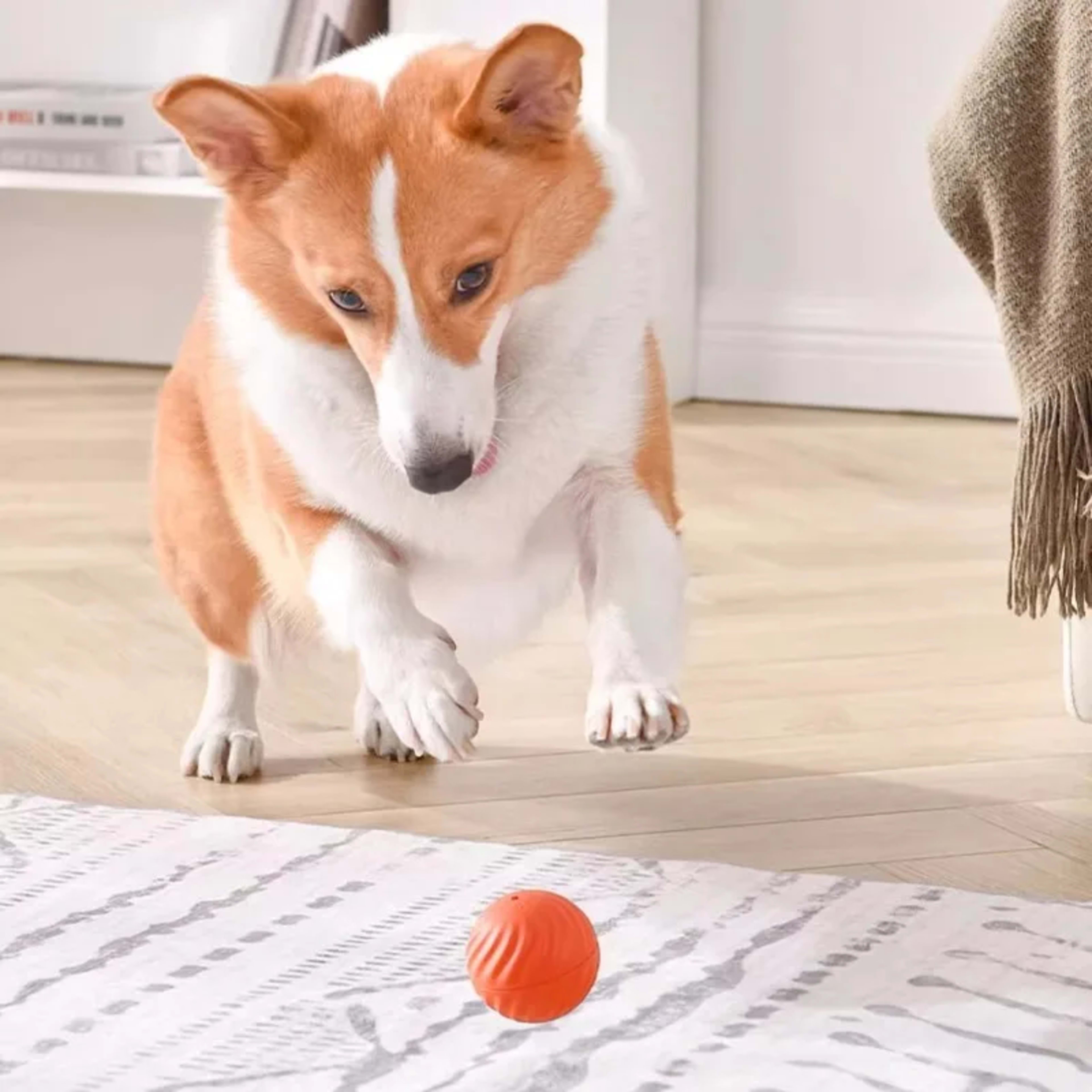 Pet Toy Ball Automatic Moving Dog Toy Ball Smart USB Jumping Rotating Interactive Dog Chew Toy Ball for Puppy Ball Toy 5