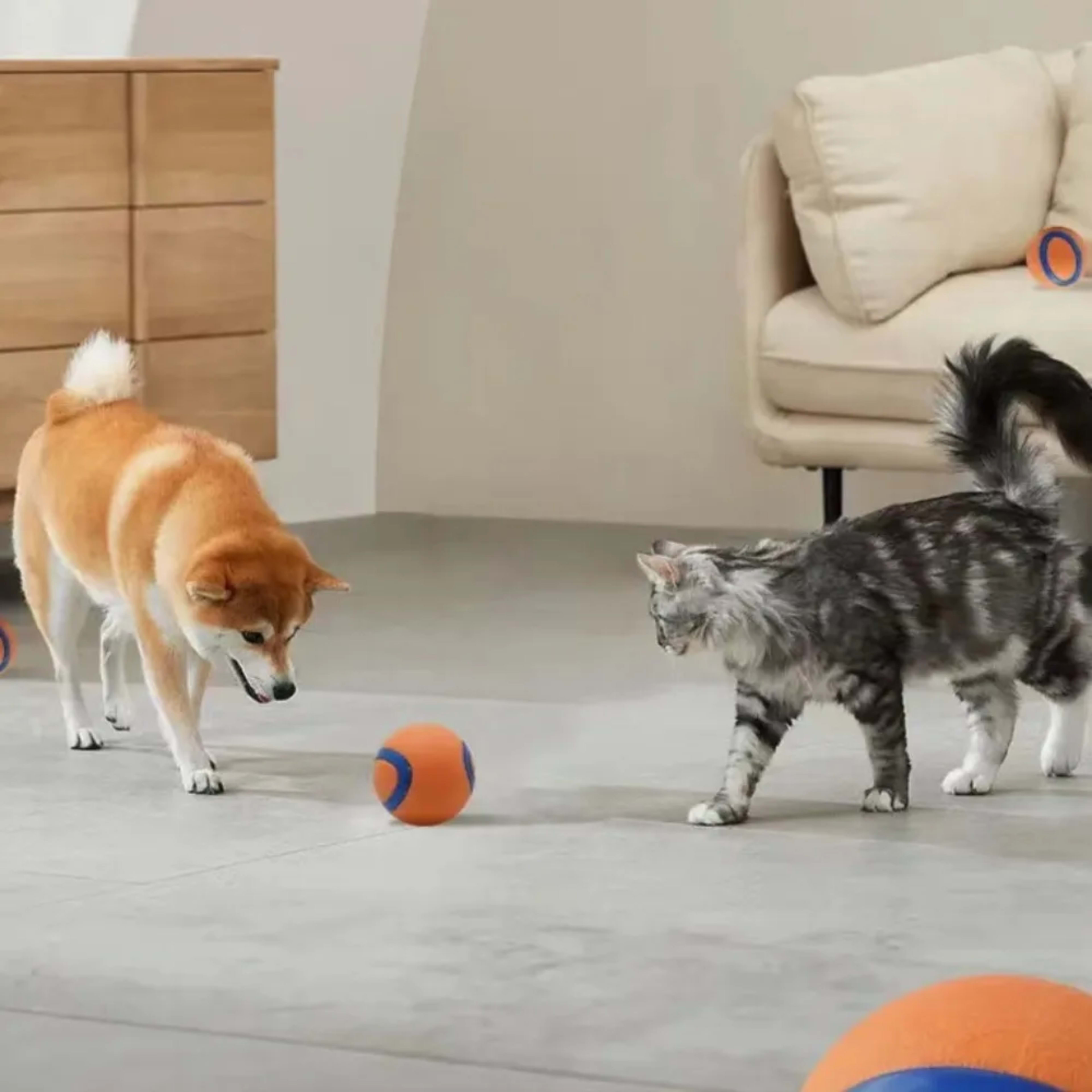 Dog Toy Ball Dog Fetch Ball Toy Tough Pet Ball Puppy Chew Toy Solid Elastic Jumping Ball Pet Accessories For Large Mediu 5