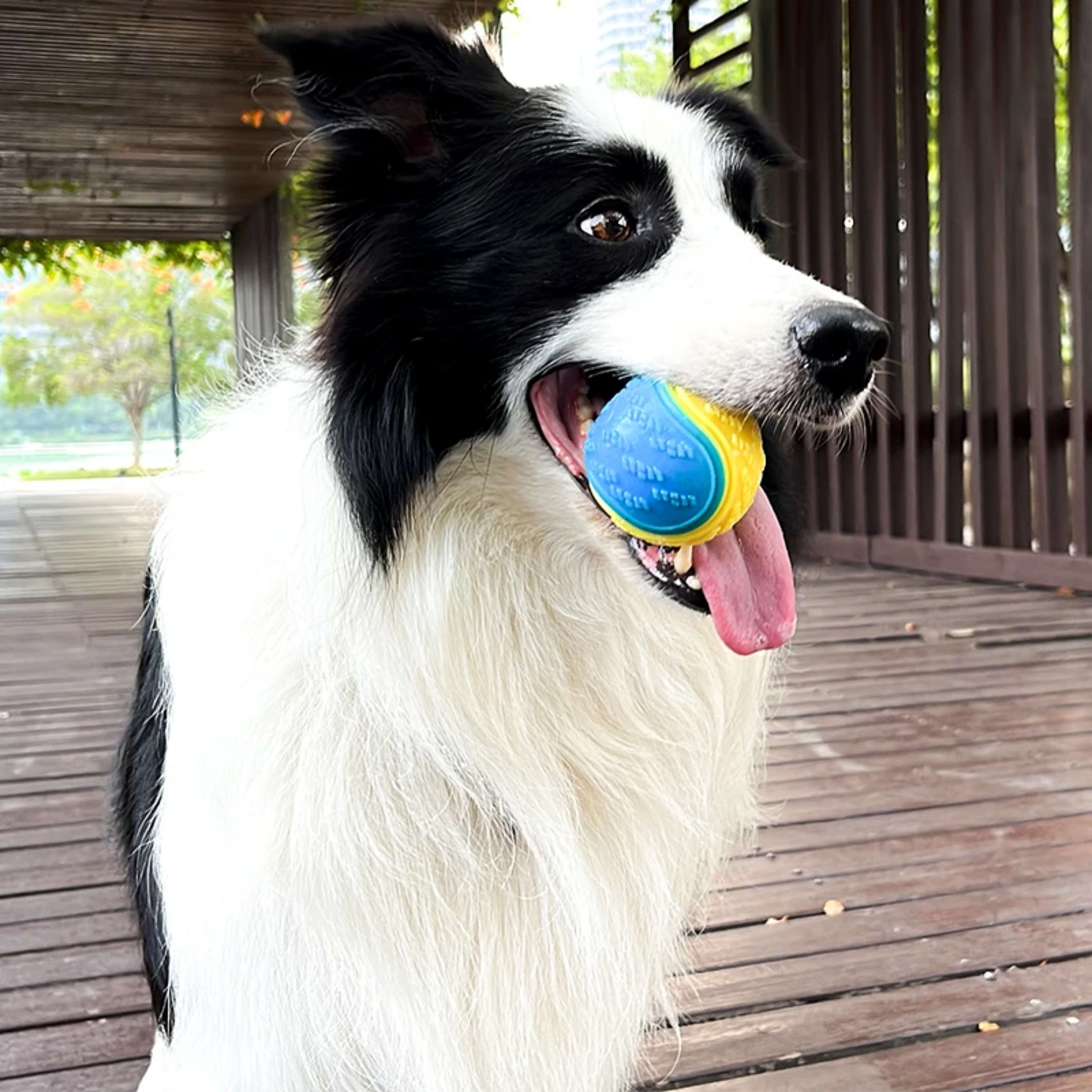 Dogs  Interactive Toys Soft TPR Toys for Dog Pet Teeth Cleaning Bite Resistance Squeaky Dog Ball Toy 3