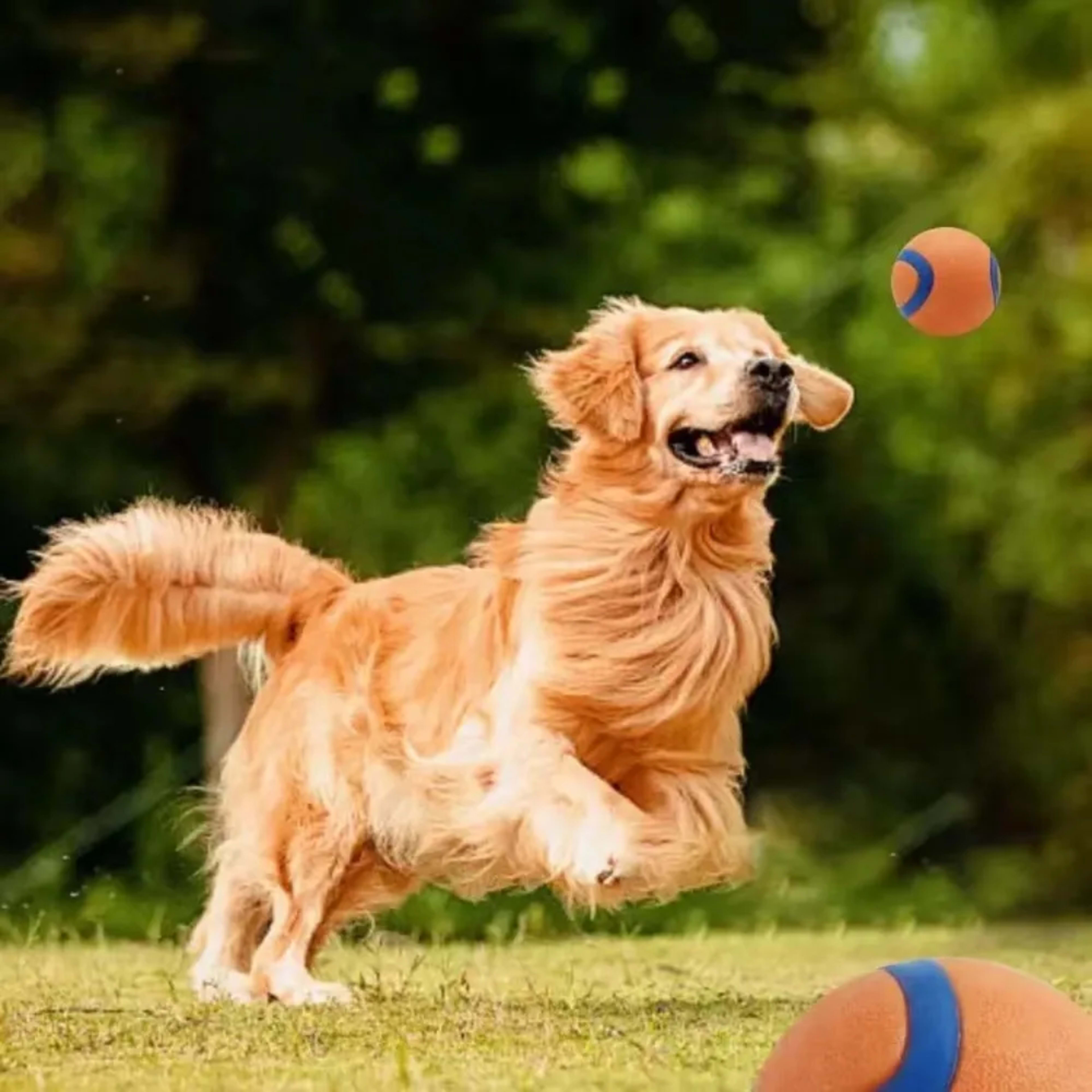 Dog Toy Ball Dog Fetch Ball Toy Tough Pet Ball Puppy Chew Toy Solid Elastic Jumping Ball Pet Accessories For Large Mediu 2