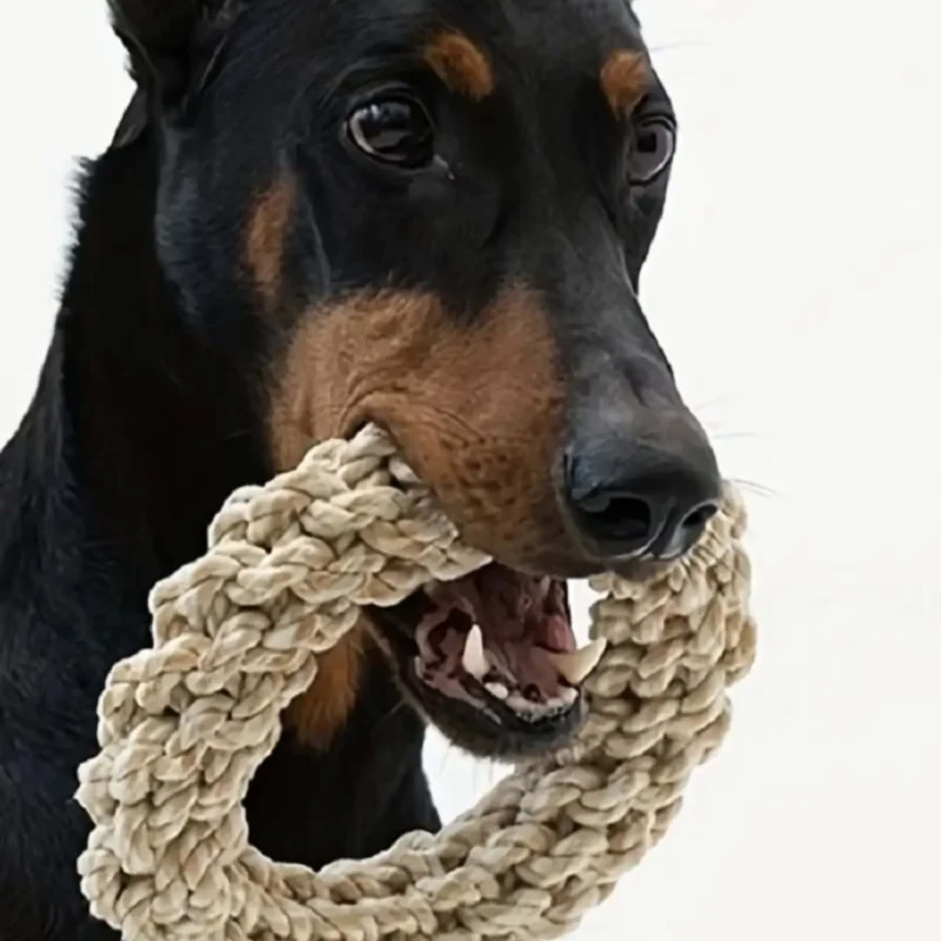 Pet Dog Rope Toy Durable Chew Bite Resistant Drag Pet toys for Medium Large Dogs Golden Retriever Pitbull Labrador Suppl 1