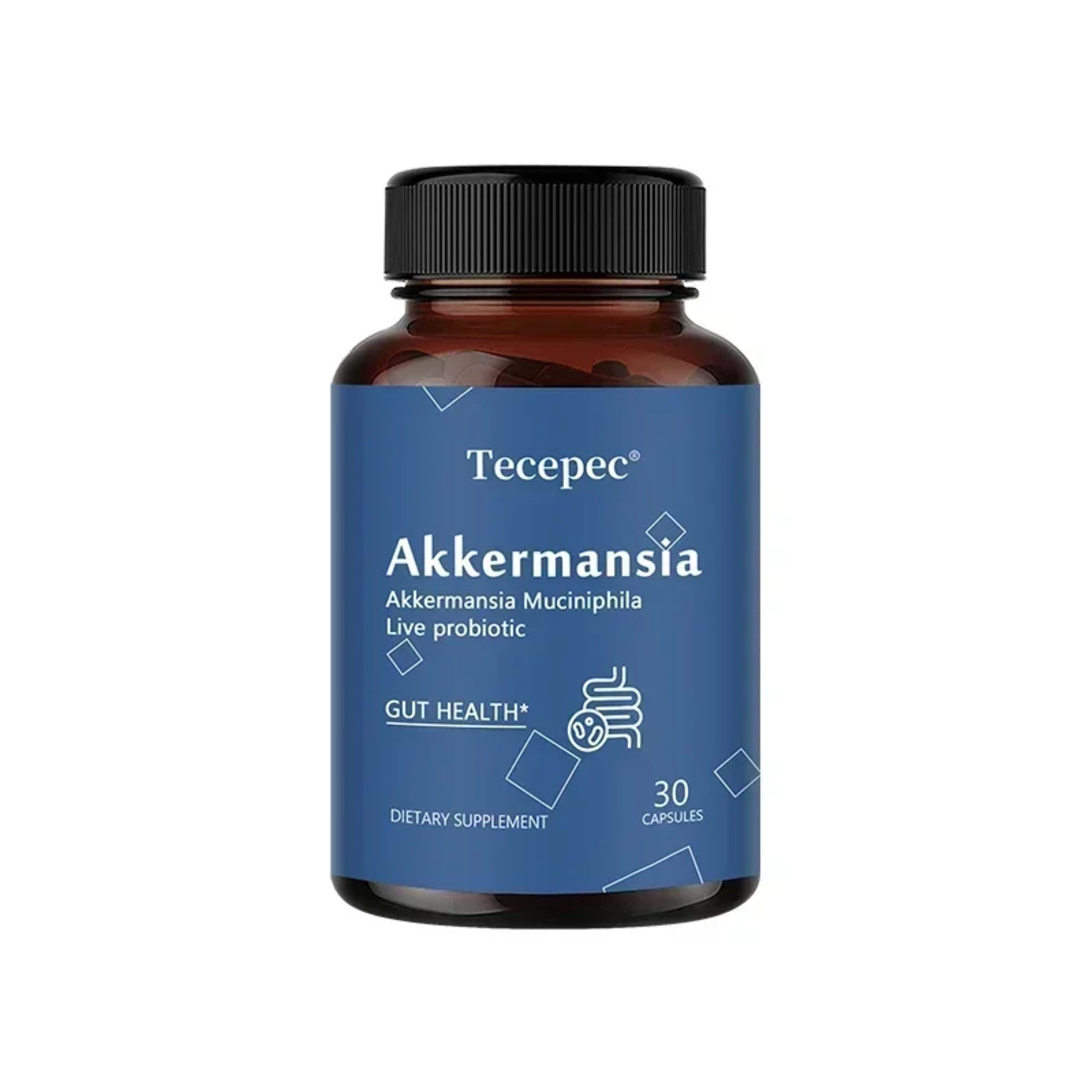 Akkermansia Probiotic, Gut Health Support Supplement | Contains Akkermansia Muciniphila – Enhances Nutrient Absorption