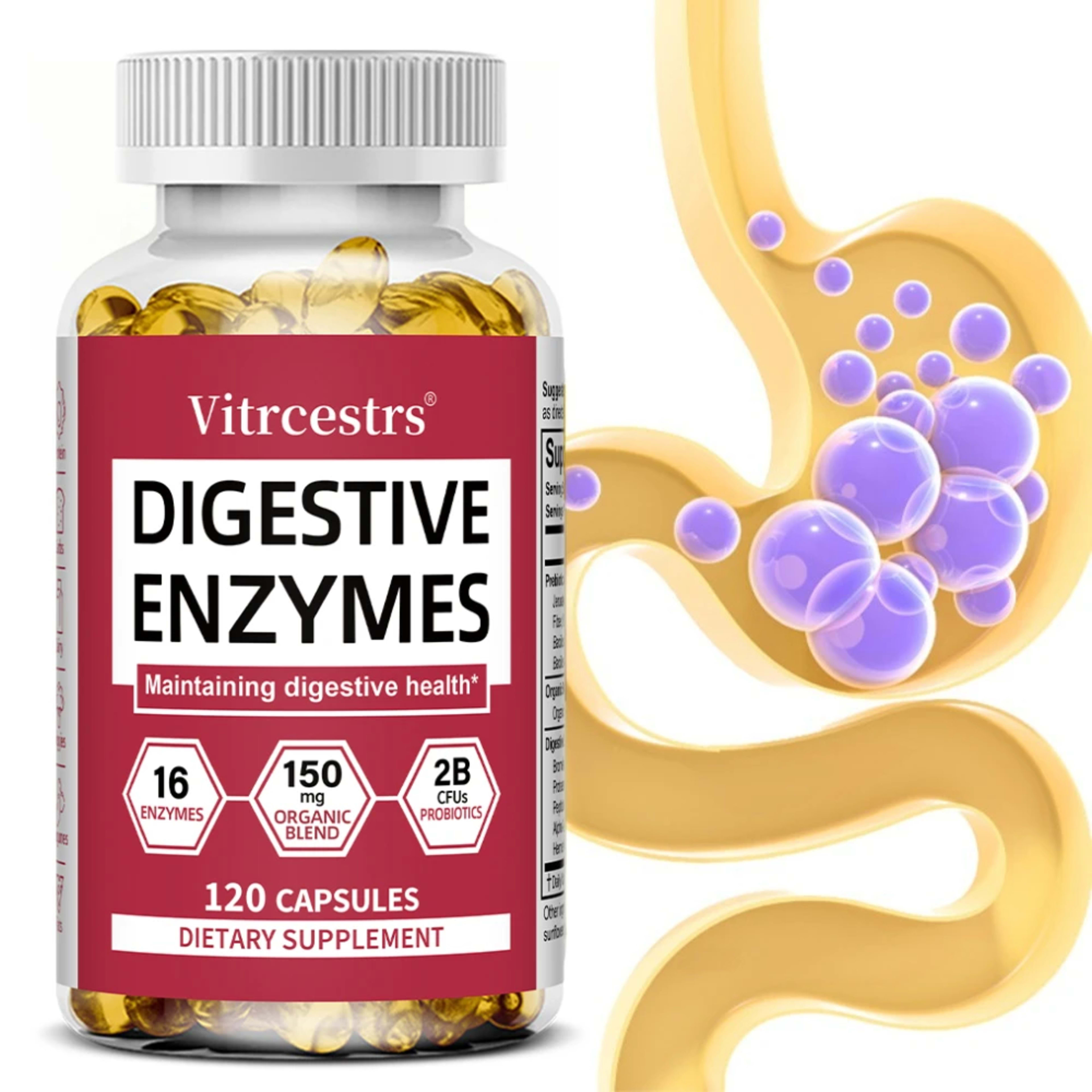 Digestive Enzyme Supplement Capsules – Promote Digestive Health, Support Gut Health, Suitable for Both Men and Women 1