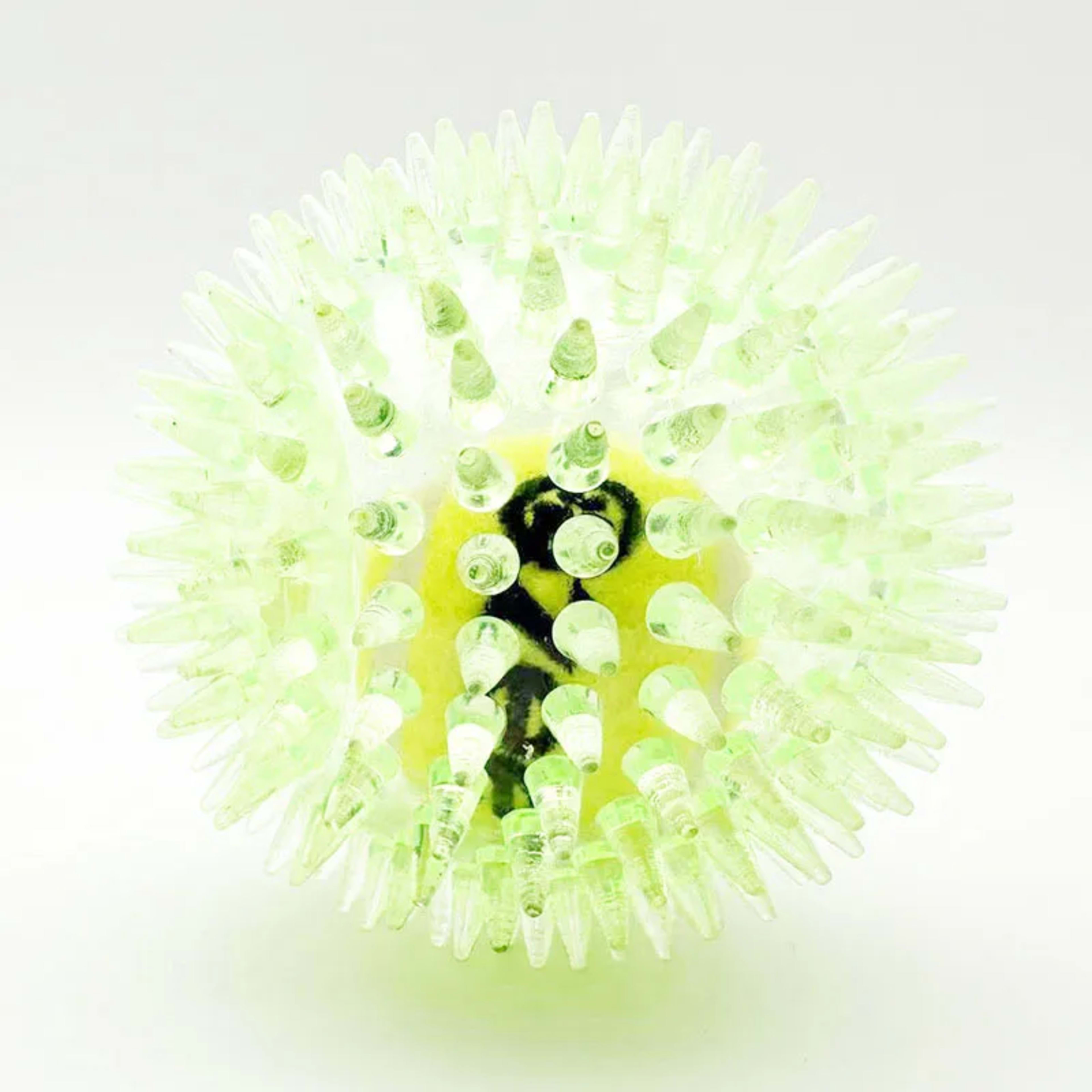 Pet dog toy, rubber tennis ball, prick ball, squeaking, grinding teeth, relieving boredom, accompanying various dogs of  8
