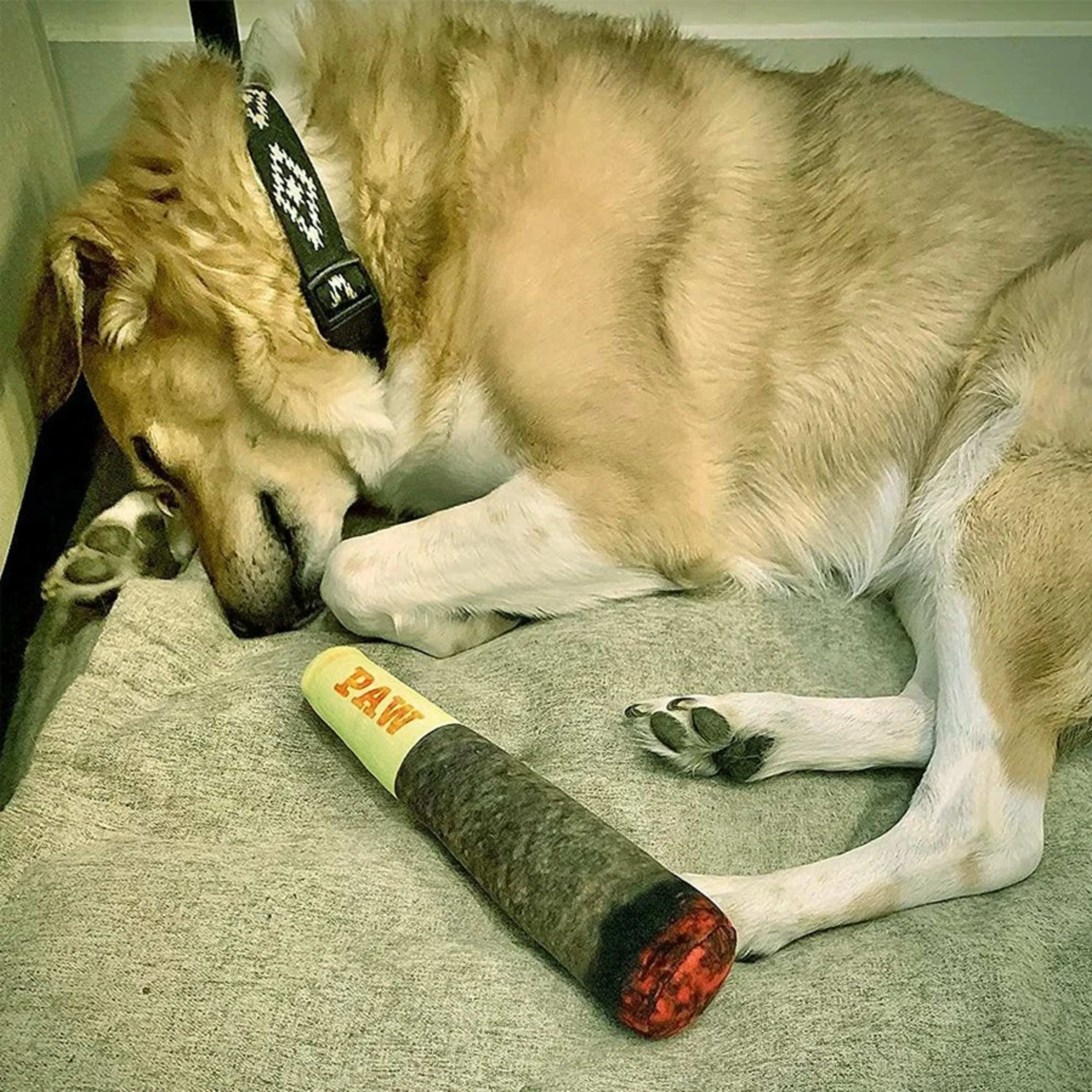 Funny Interactive Dog Toys - Cigar Design Plush Squeaky Pet Toys Grinding Teeth Creative Chew Toy For Small Medium Dog 6
