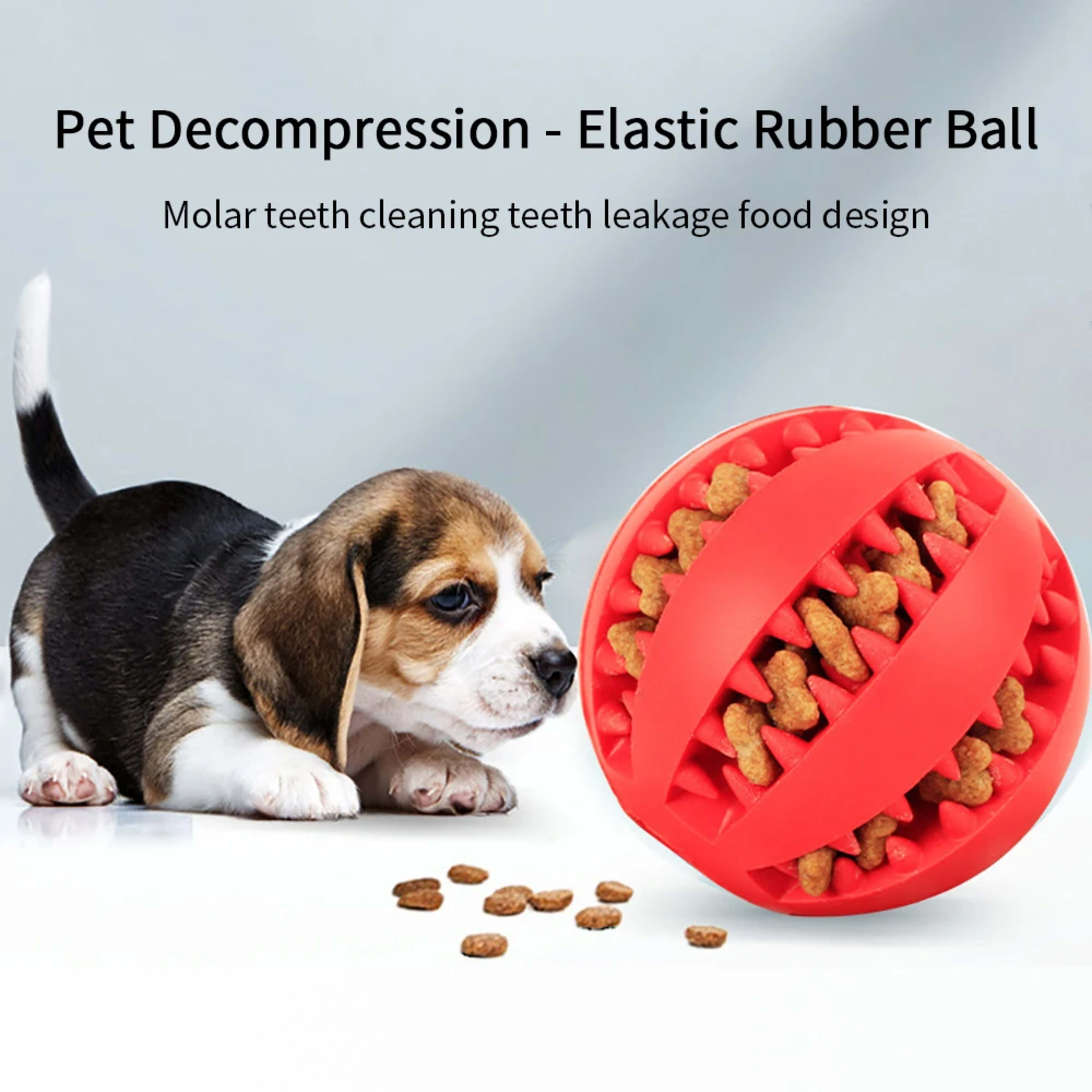 Pet Dog Ball Toys for Small Dogs Interactive Elasticity Puppy Chew Toy Tooth Cleaning Rubber Food Ball Toy Pet Stuff Acc 2