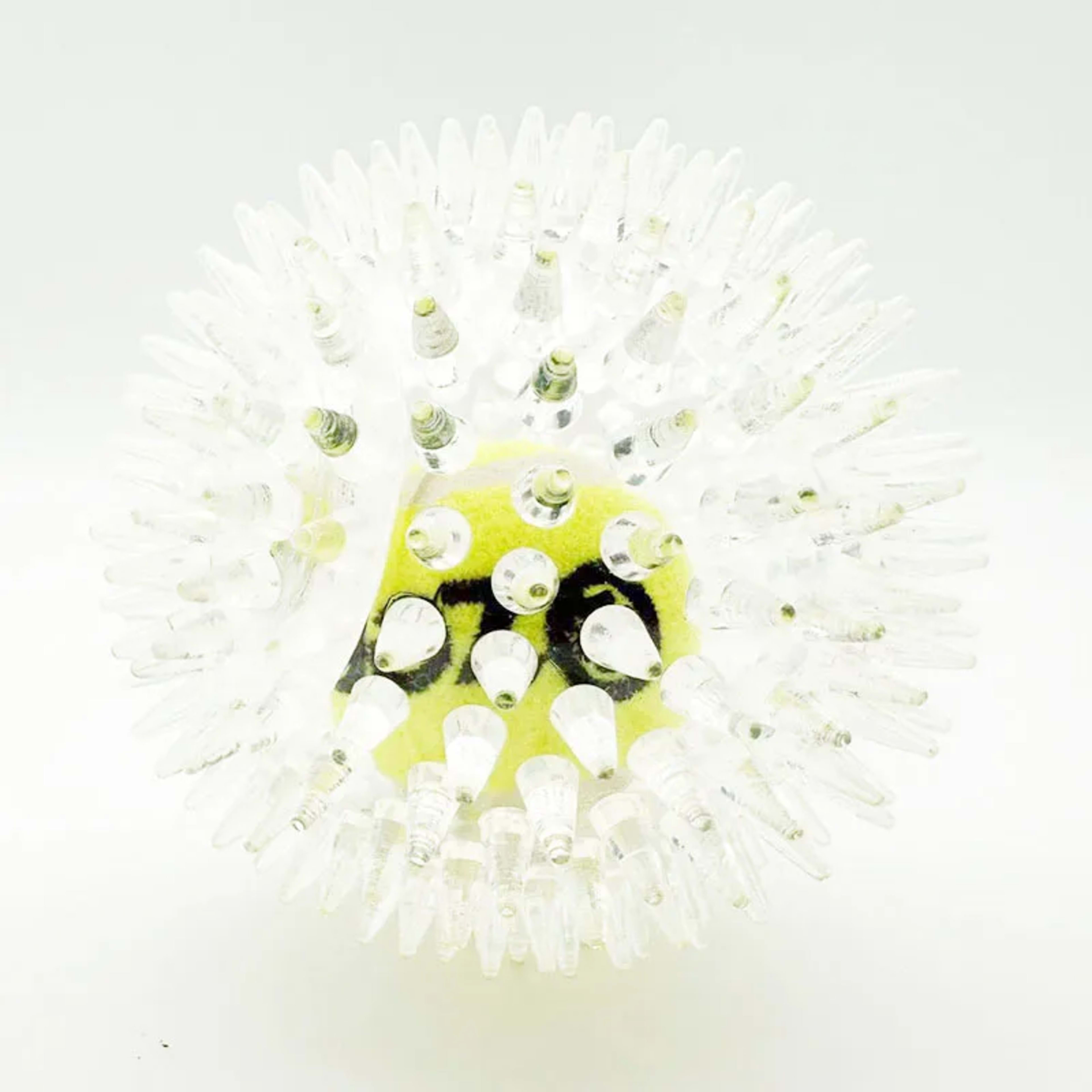 Pet dog toy, rubber tennis ball, prick ball, squeaking, grinding teeth, relieving boredom, accompanying various dogs of  9