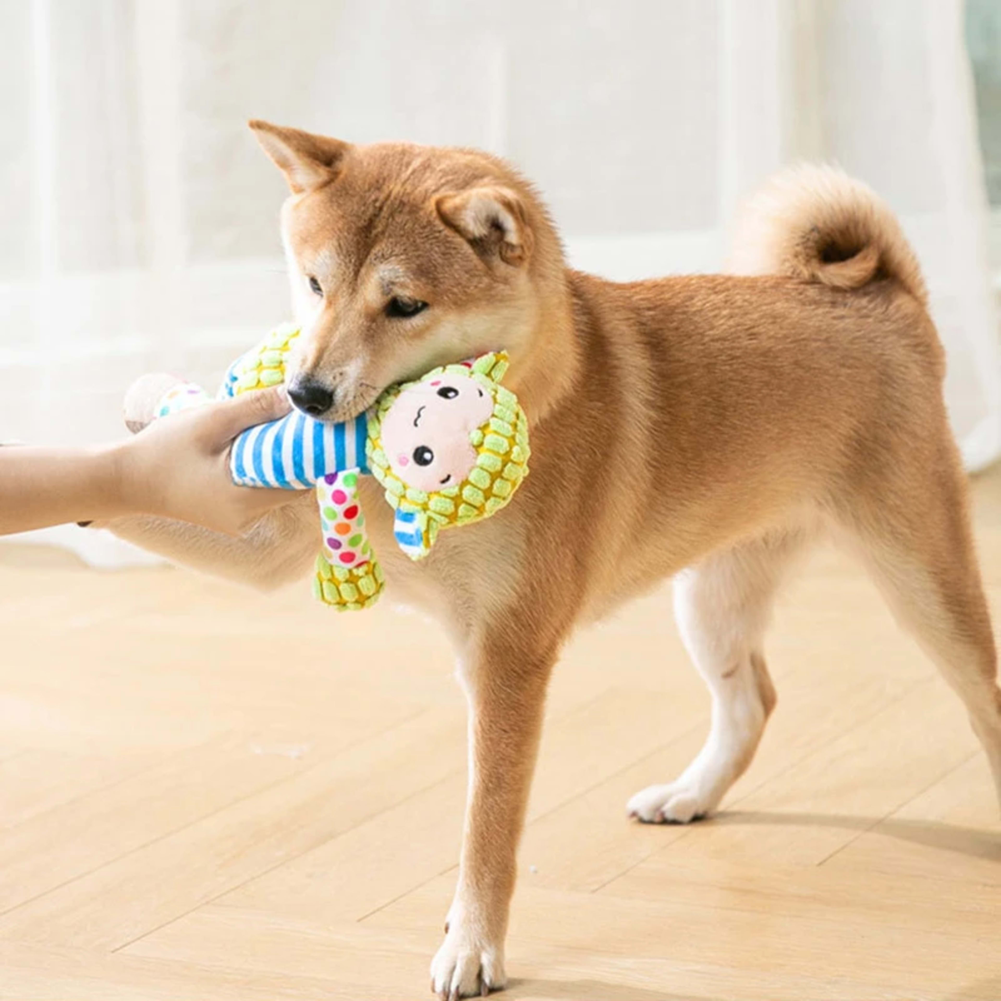 Pet Plush Toy Cat Dog Puzzle Toy Cute Animals Bite Resistant Interactive Squeaky Pet Dog Teeth Cleaning Chew Toy Pet Sup 6