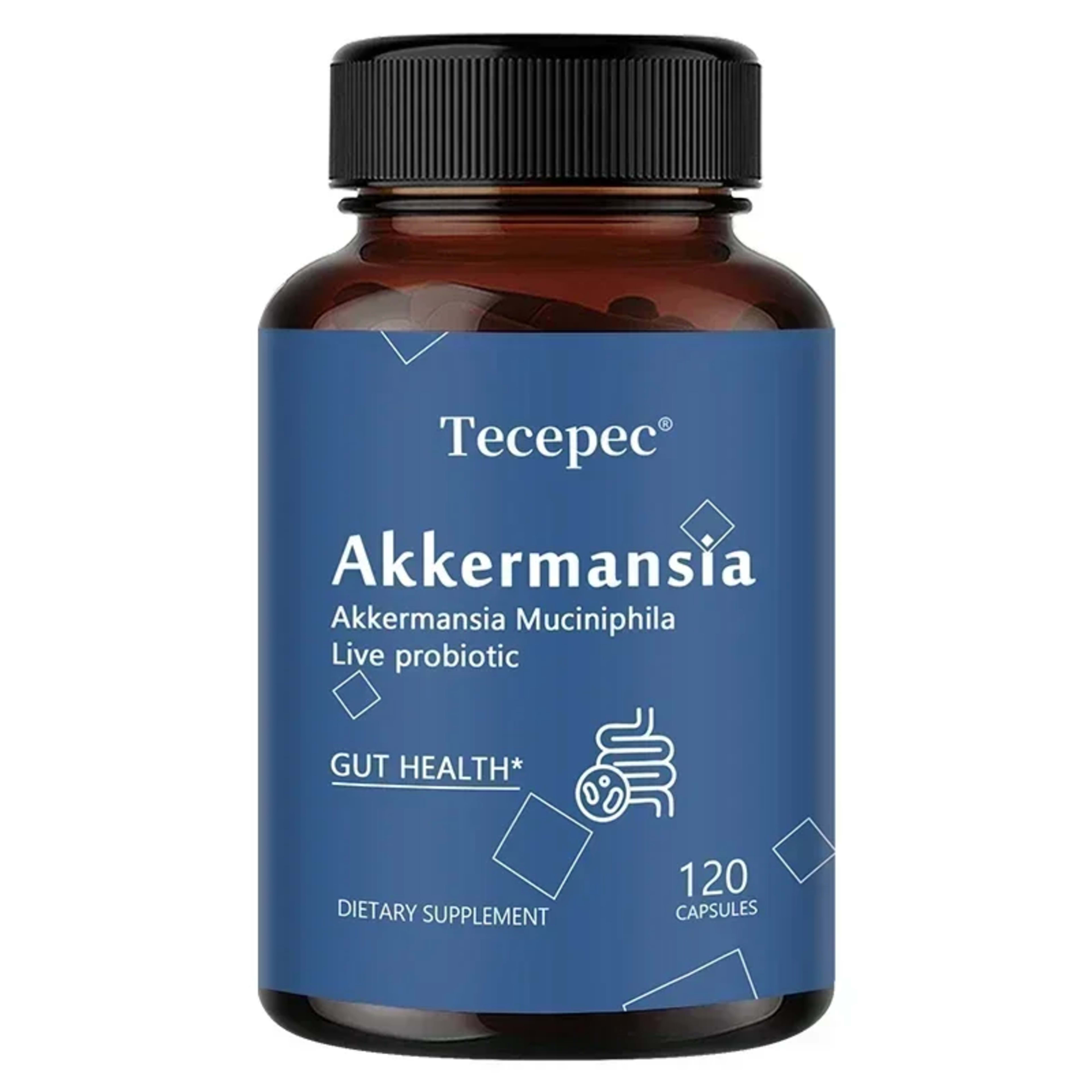 Akkermansia Probiotic, Gut Health Support Supplement | Contains Akkermansia Muciniphila – Enhances Nutrient Absorption 9