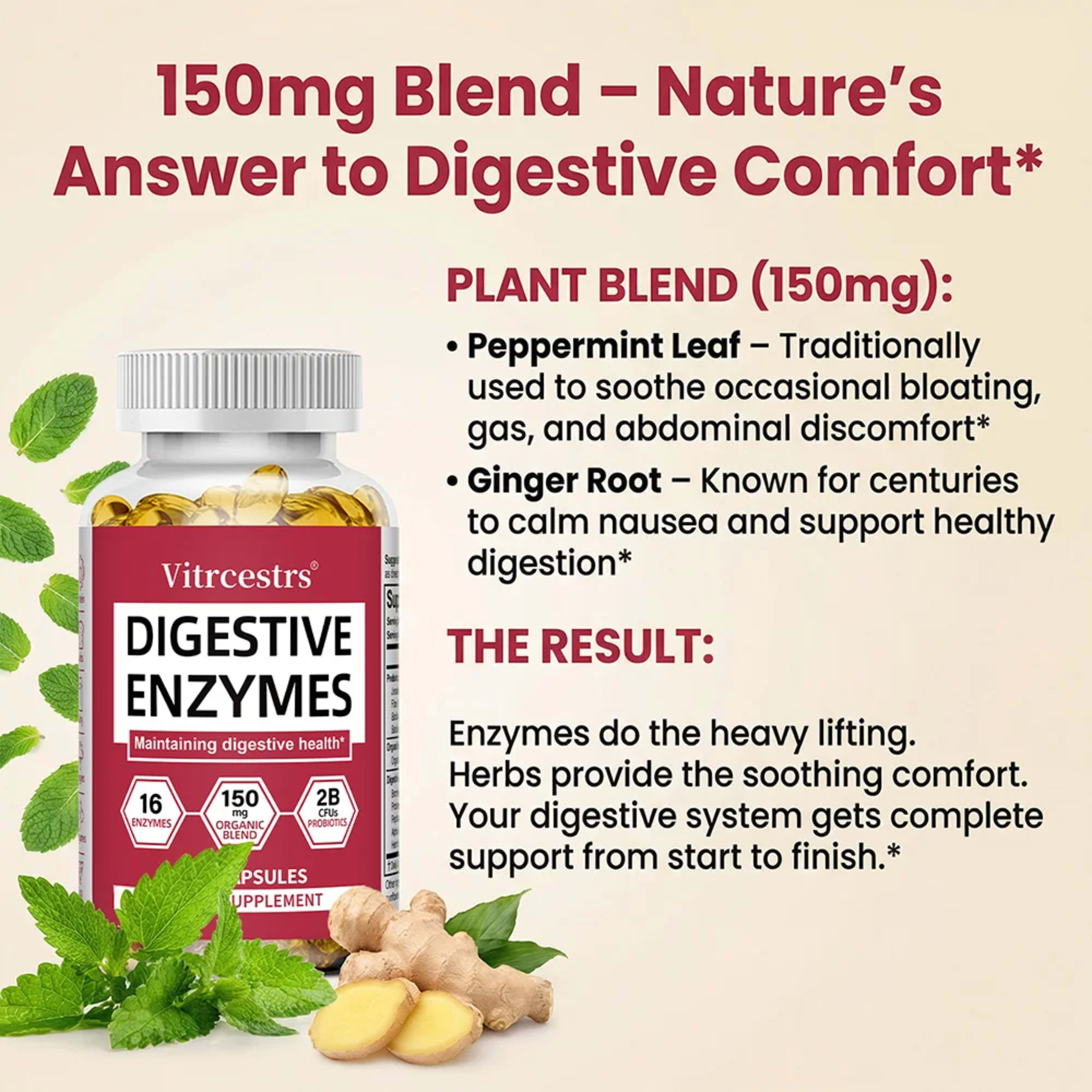 Digestive Enzymes Supplement - Digestion and Intestinal Health for Adults Men and Women, Promotes Nutrient Absorption 6