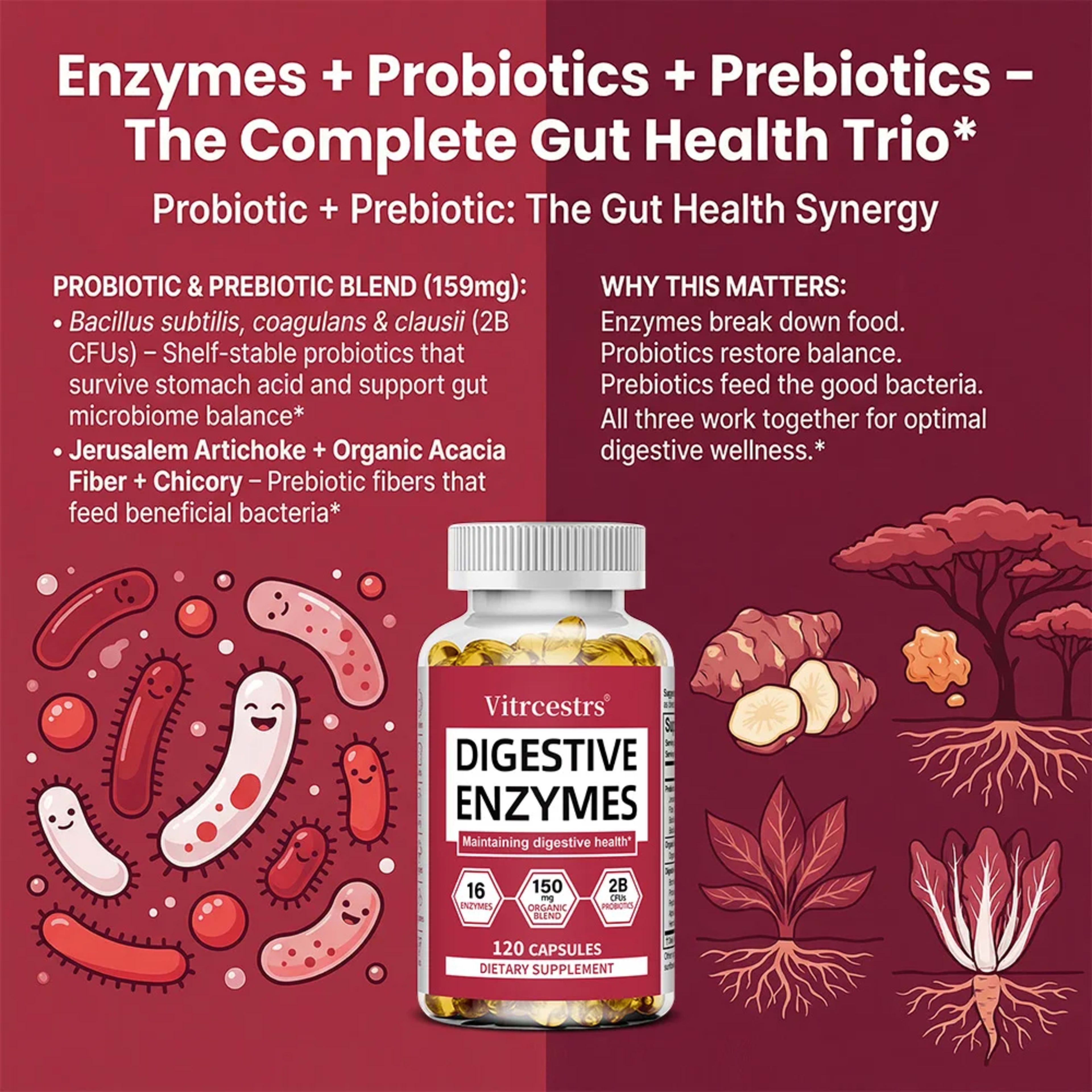 Digestive Enzymes Supplement - Digestion and Intestinal Health for Adults Men and Women, Promotes Nutrient Absorption 5