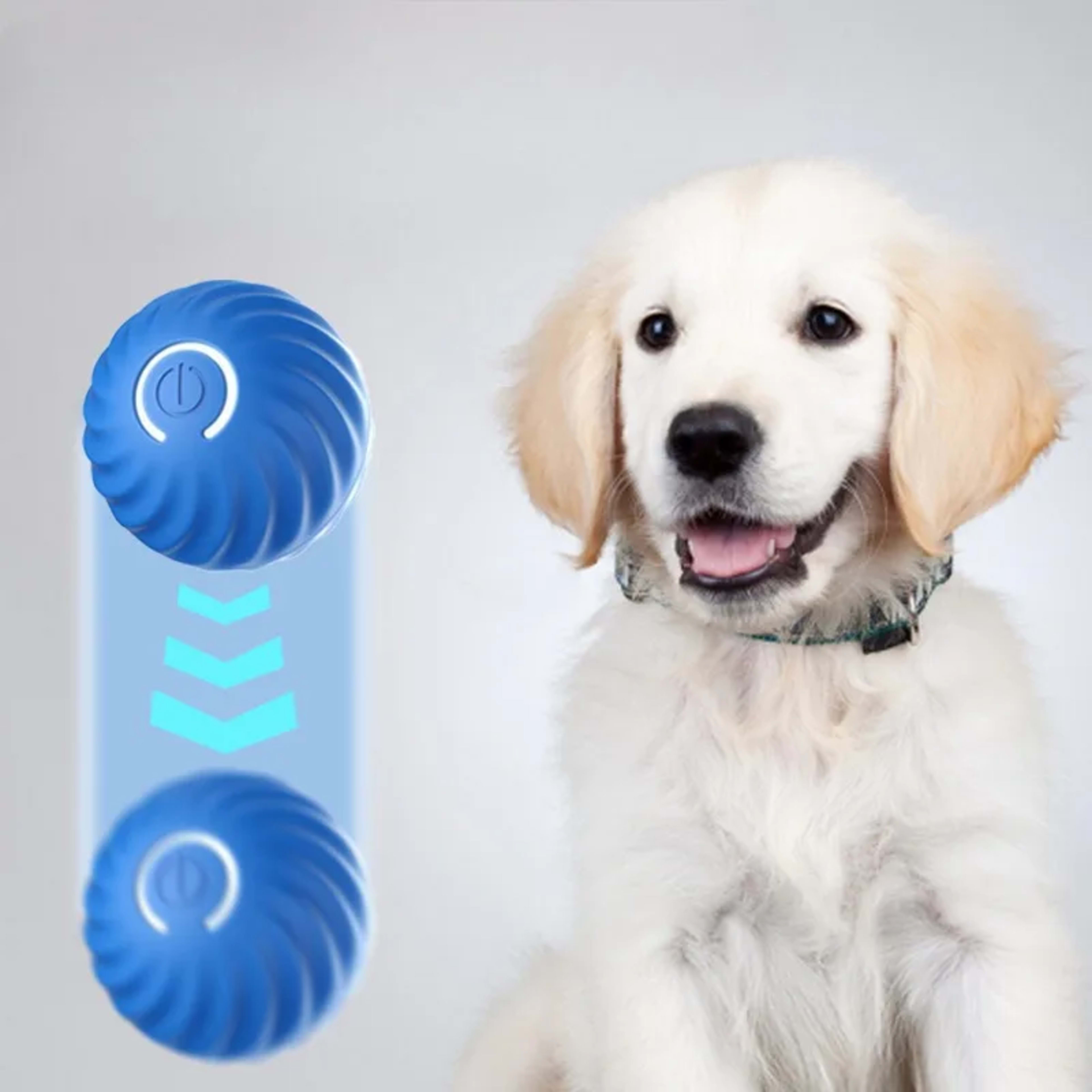 Pet Toy Ball Automatic Moving Dog Toy Ball Smart USB Jumping Rotating Interactive Dog Chew Toy Ball for Puppy Ball Toy 2