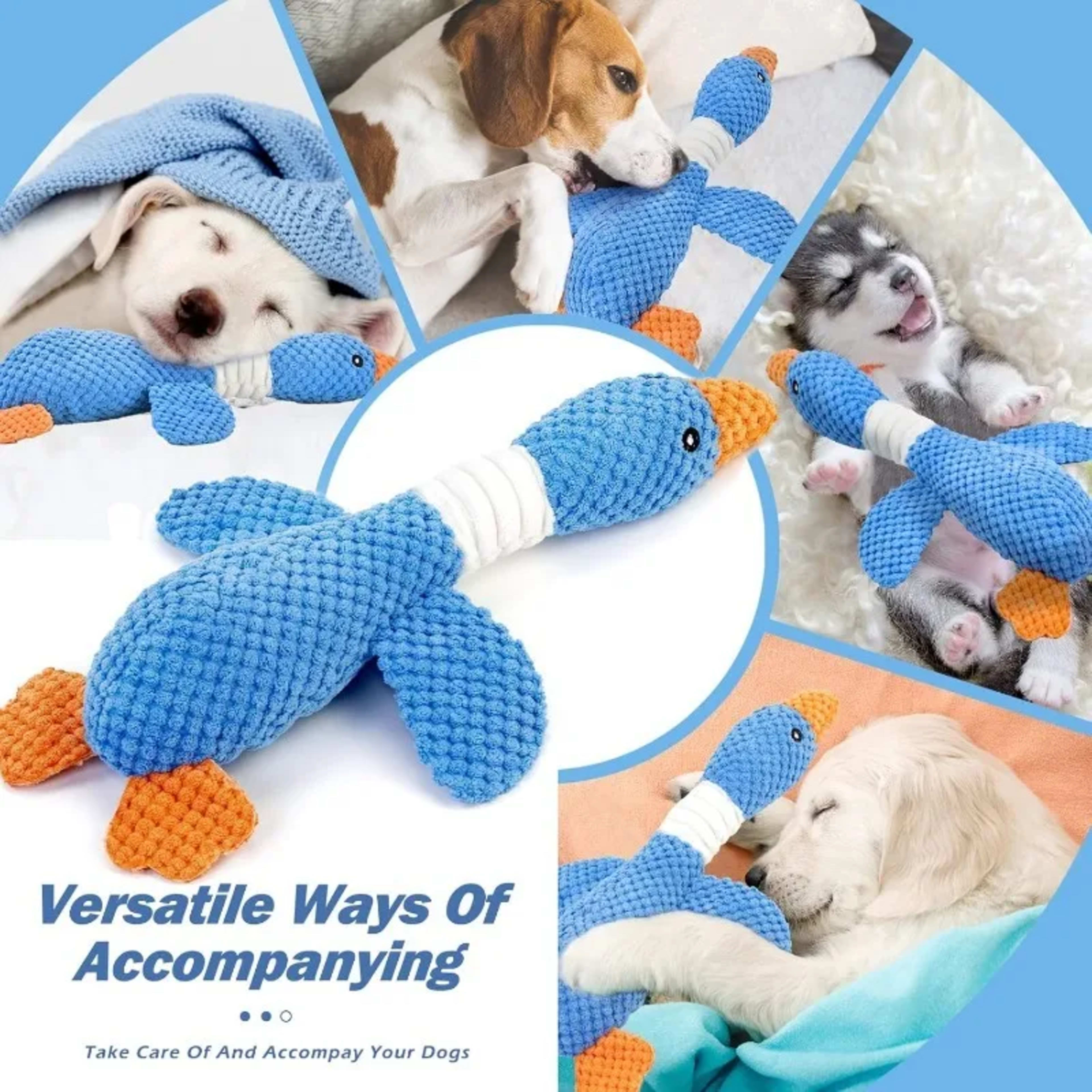 Cat Dog Toys for Aggressive Chewers Cats Dogs,Chew Squeak Toy Cats Dogs Interactive Plush Doll Pet Products 6