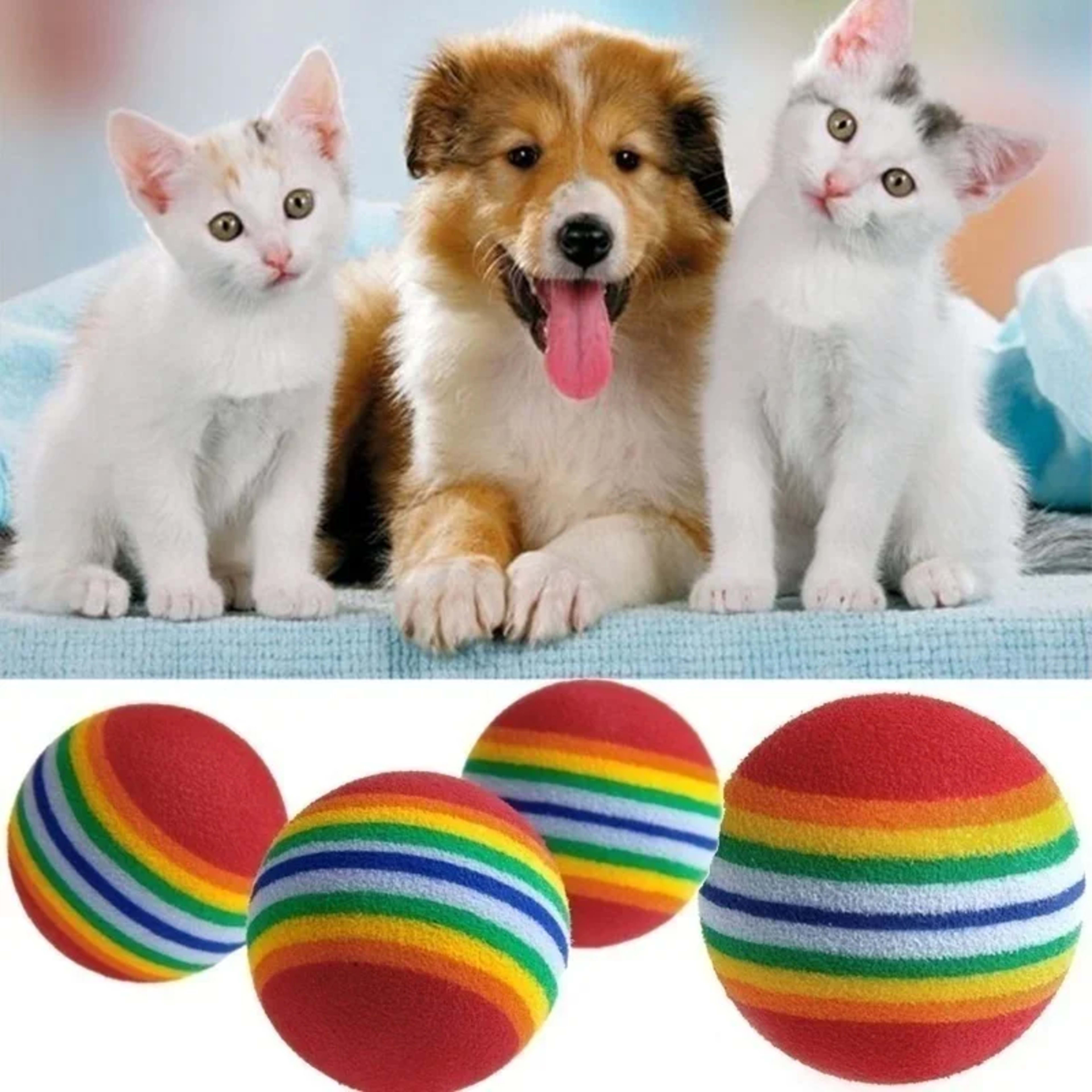 10pcs Pet Toy 3